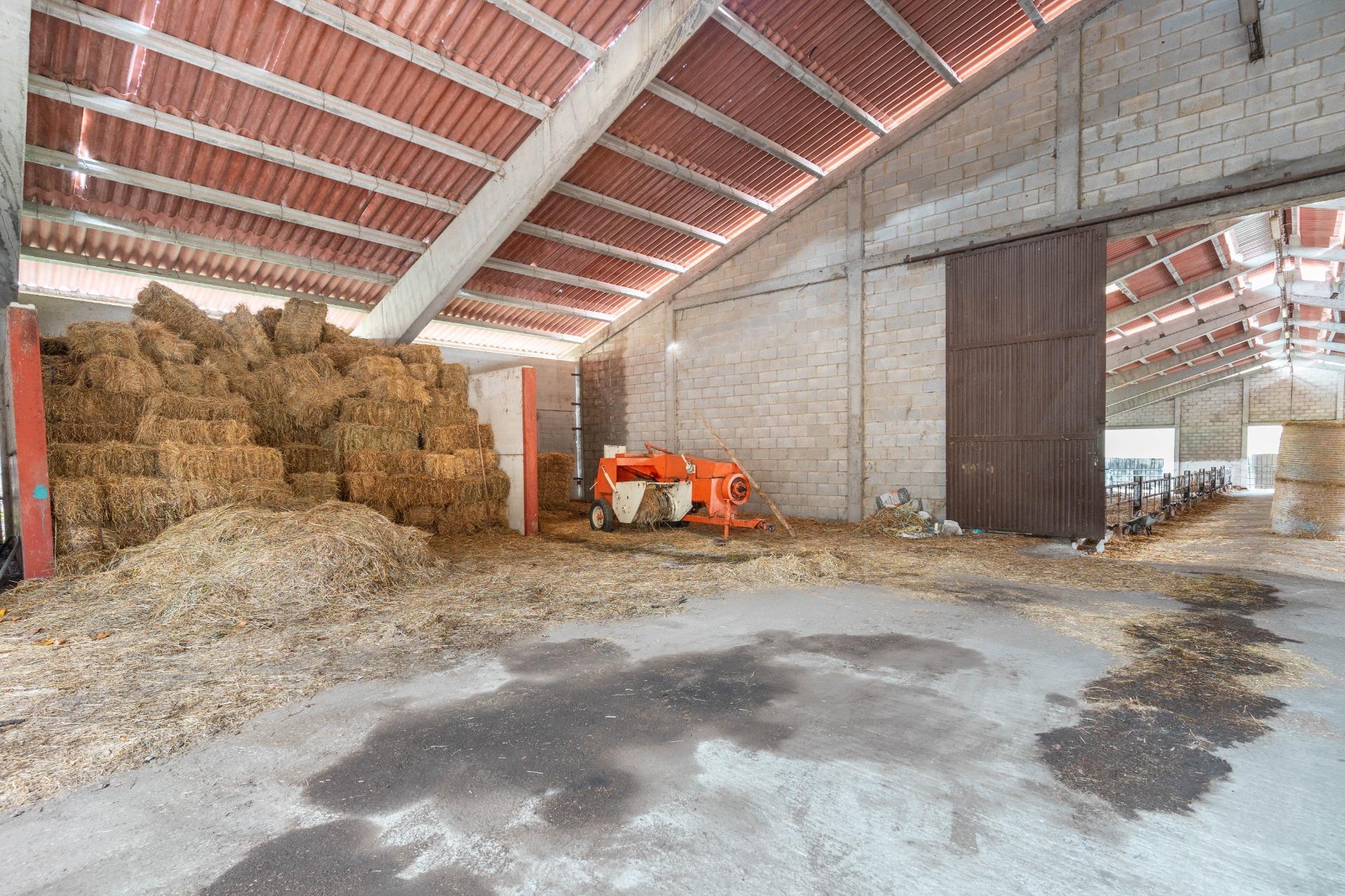 Negocios-Venta-Caso-2009530-Foto-12