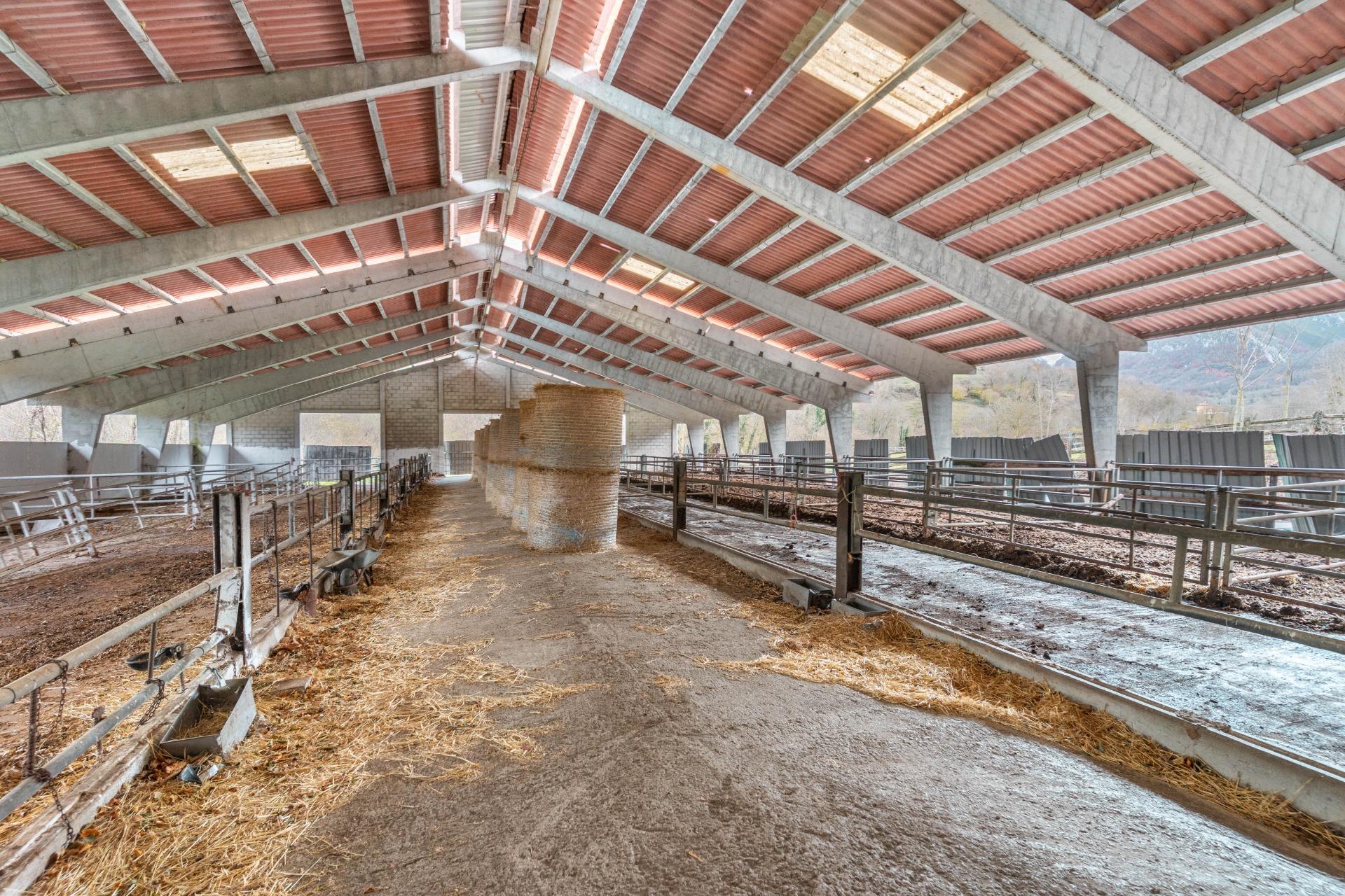 Negocios-Venta-Caso-2009530-Foto-11