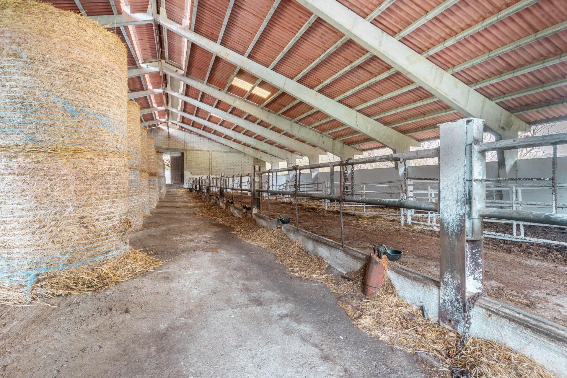 Negocios-Venta-Caso-2009530-Foto-14