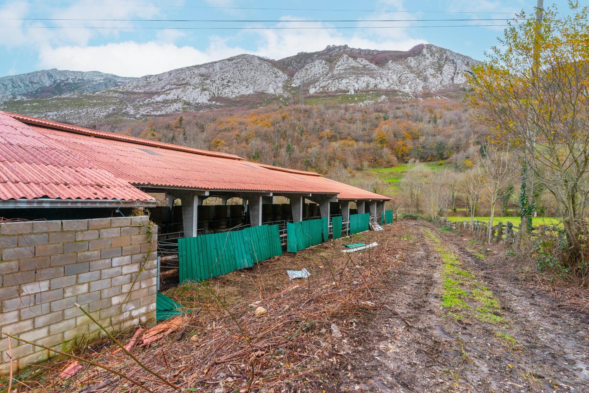 Negocios-Venta-Caso-2009530-Foto-20