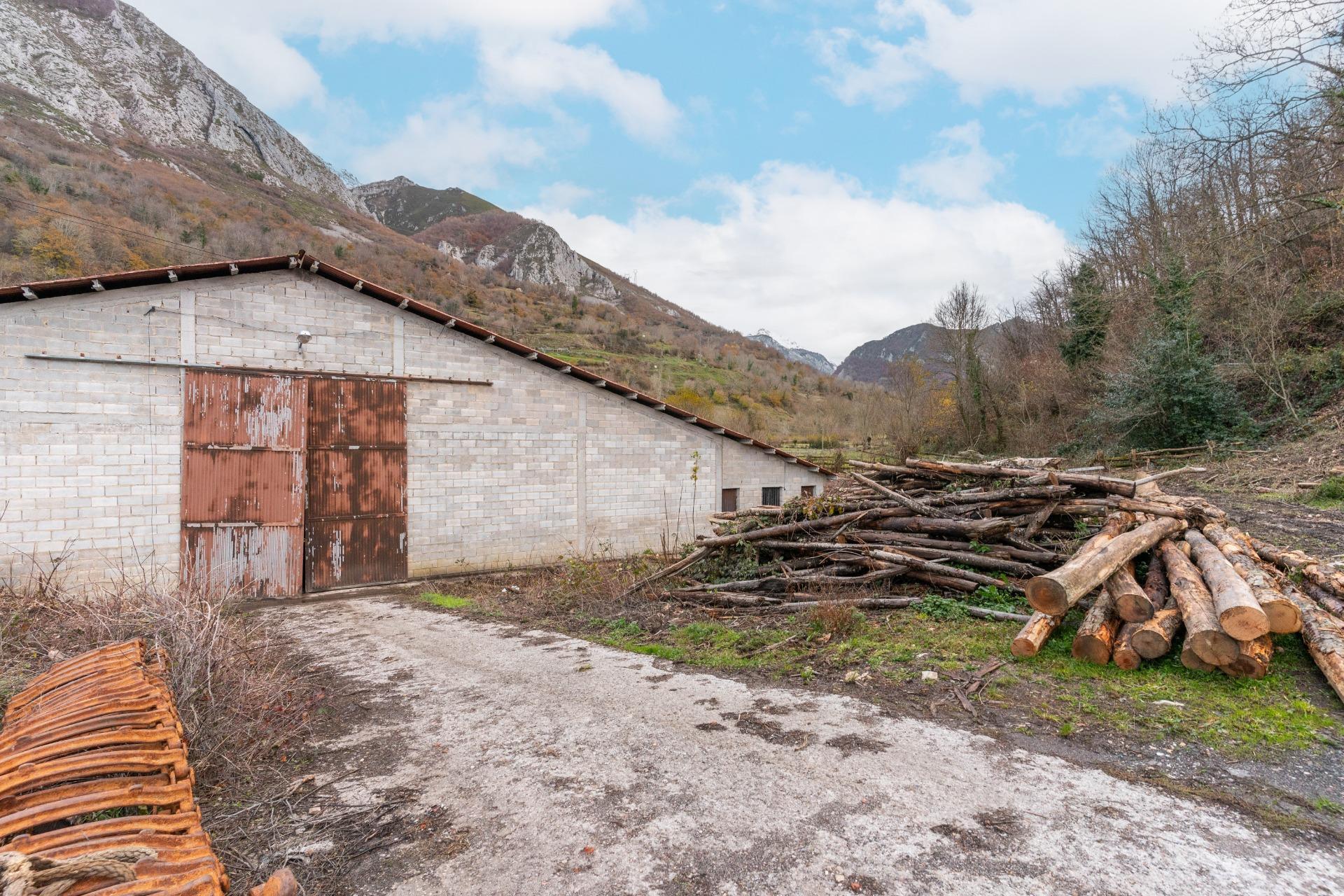 Negocios-Venta-Caso-2009530-Foto-25