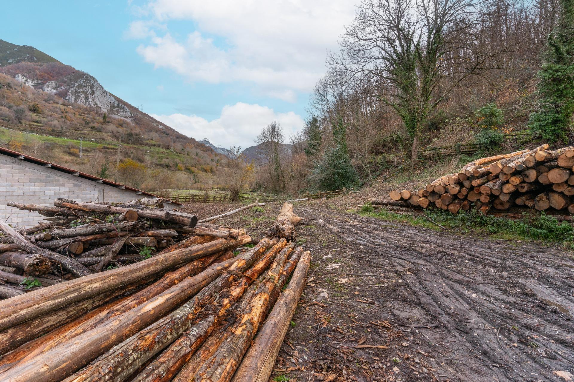 Negocios-Venta-Caso-2009530-Foto-21