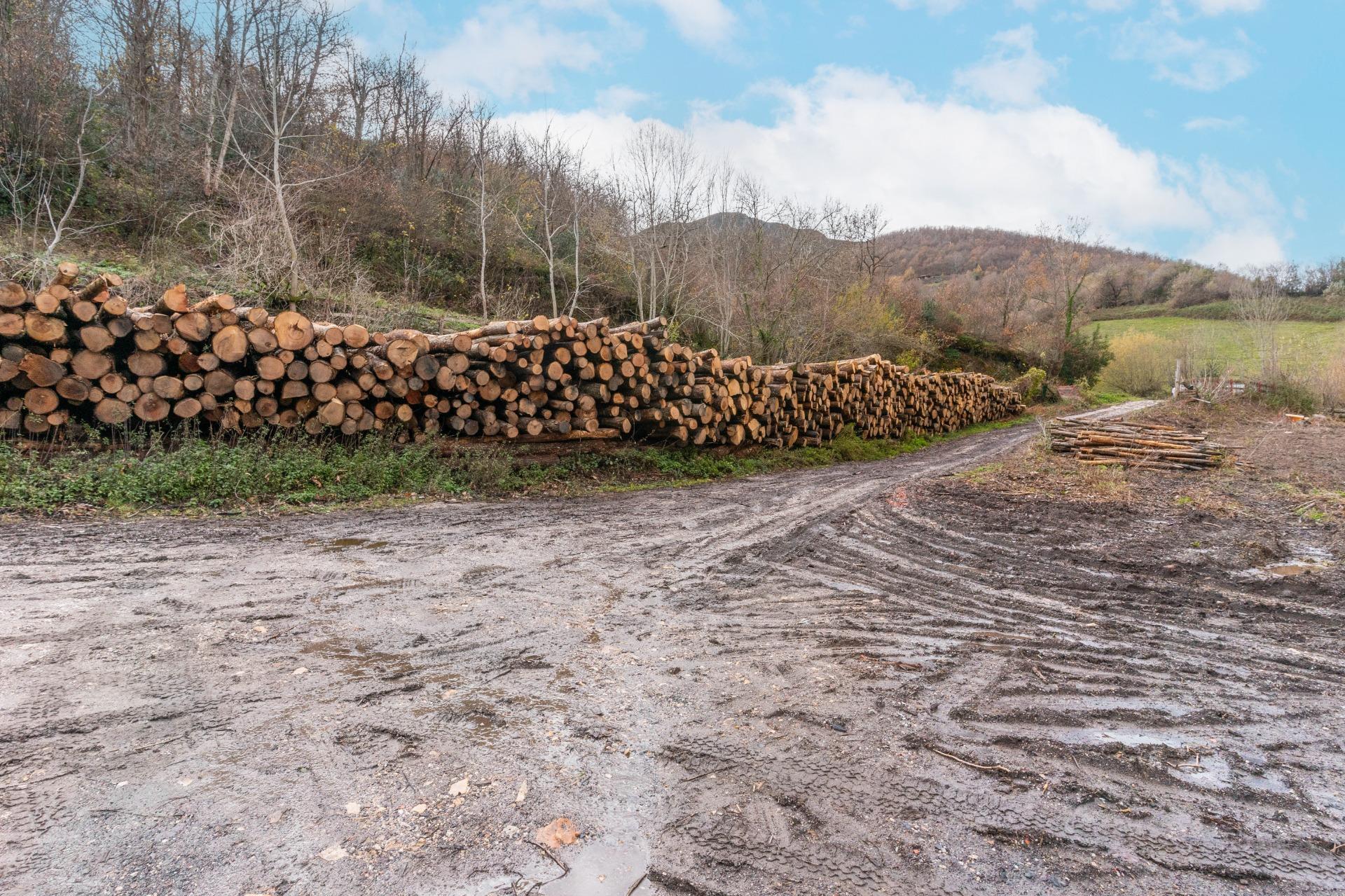 Negocios-Venta-Caso-2009530-Foto-22