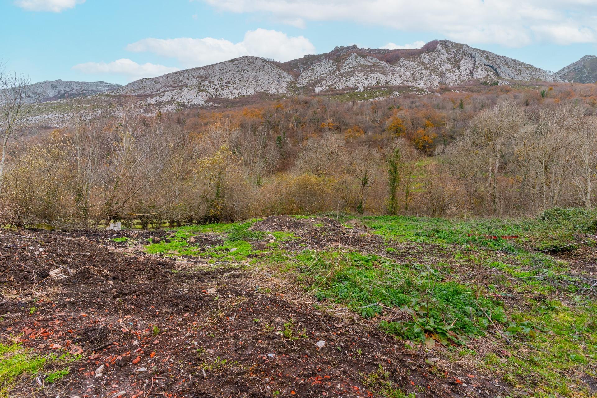 Negocios-Venta-Caso-2009530-Foto-23