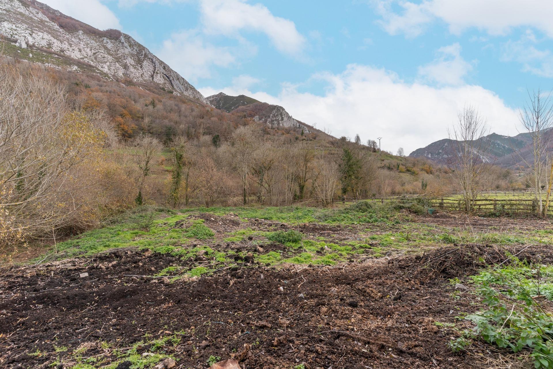 Negocios-Venta-Caso-2009530-Foto-24