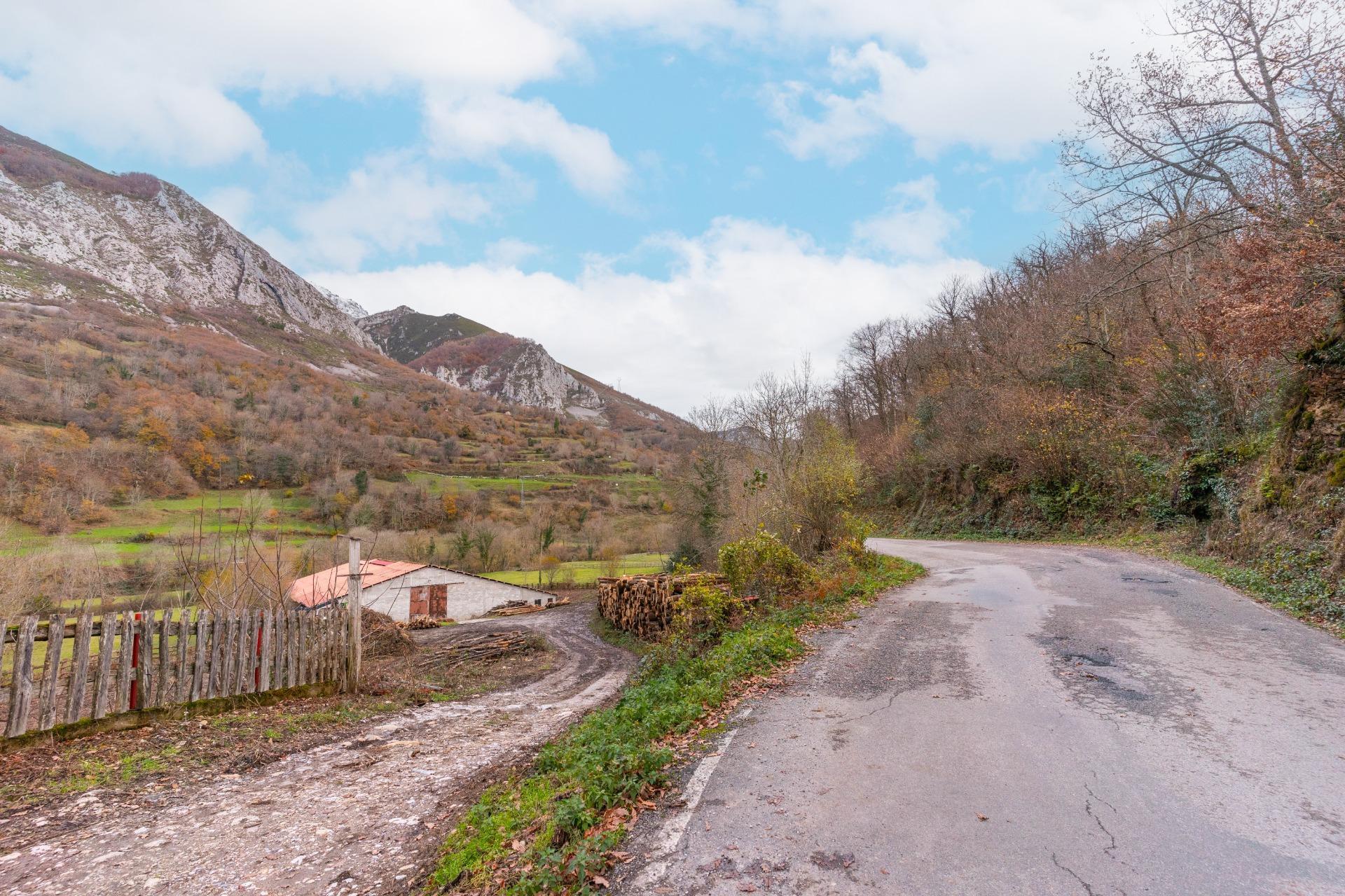 Negocios-Venta-Caso-2009530-Foto-29