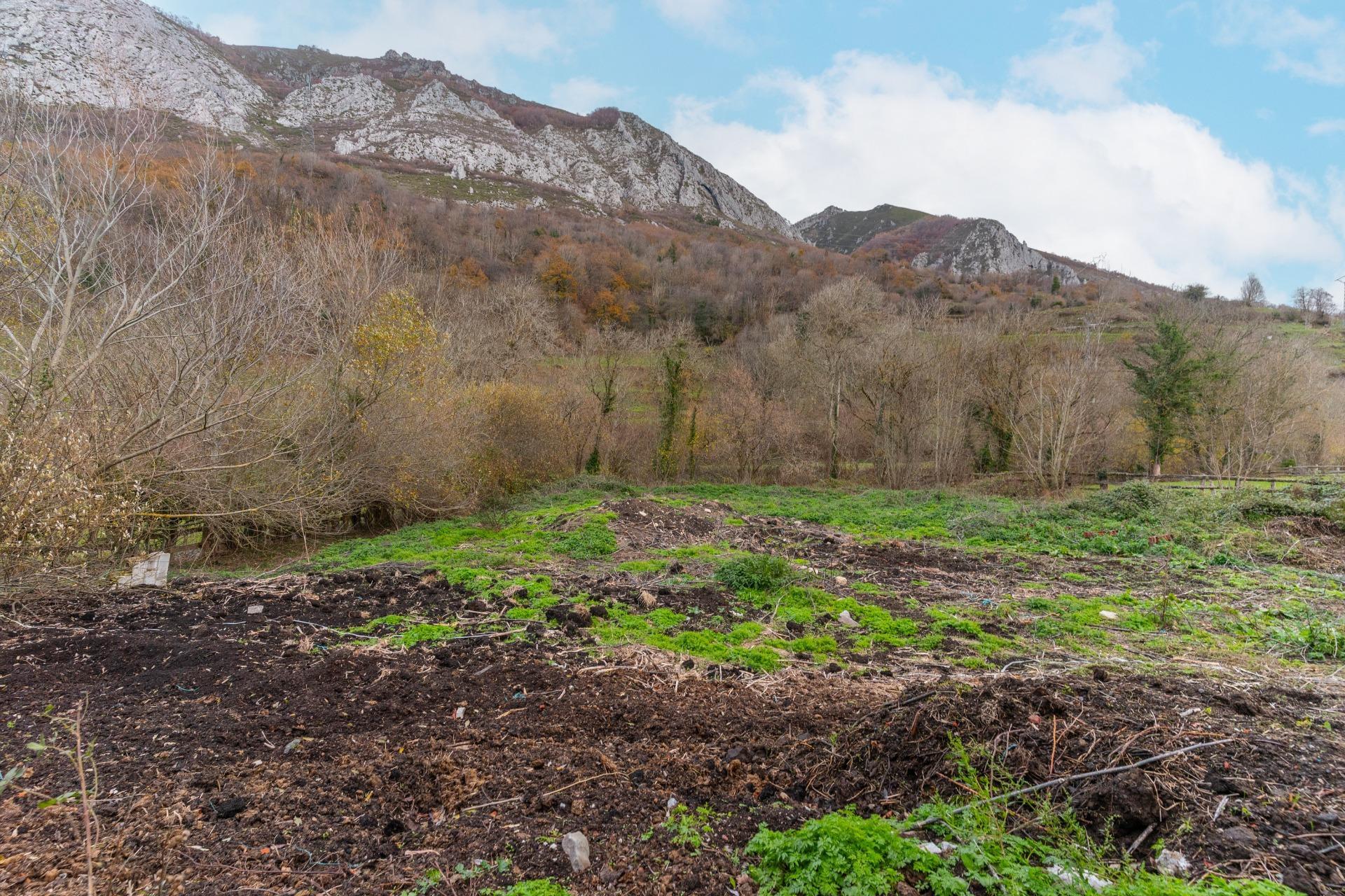 Negocios-Venta-Caso-2009530-Foto-27