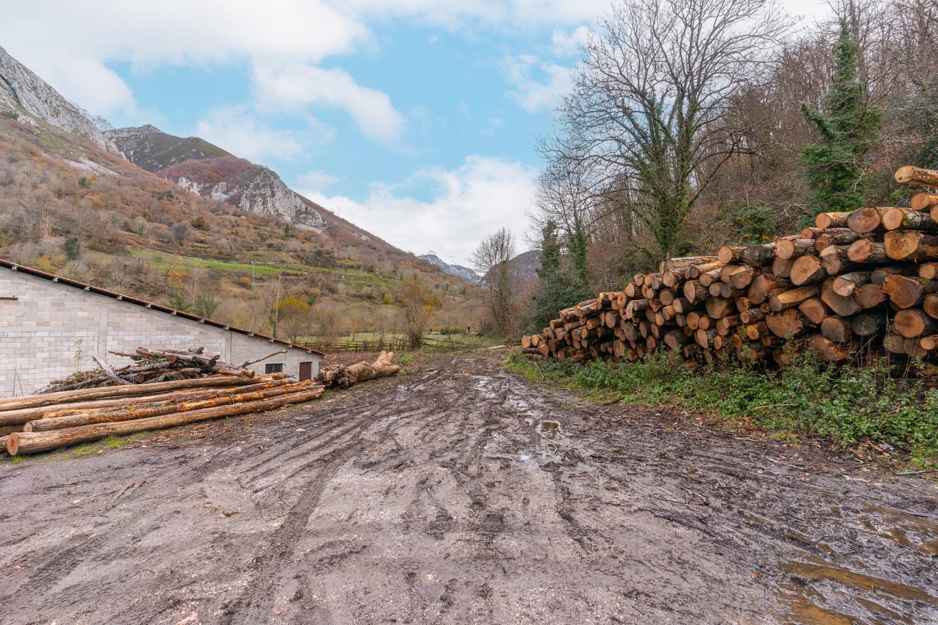 Negocios-Venta-Caso-2009530-Foto-30
