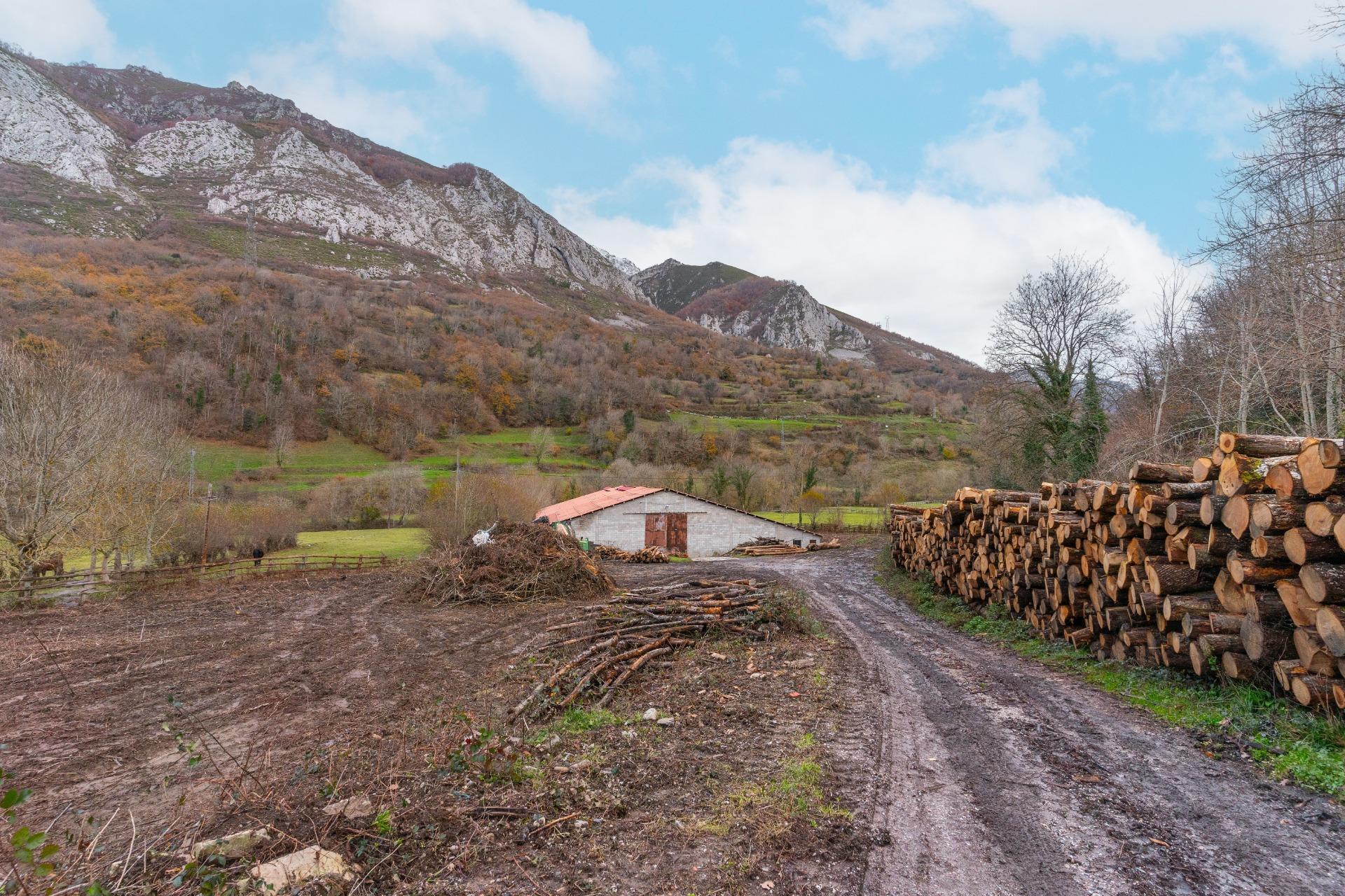 Negocios-Venta-Caso-2009530-Foto-26