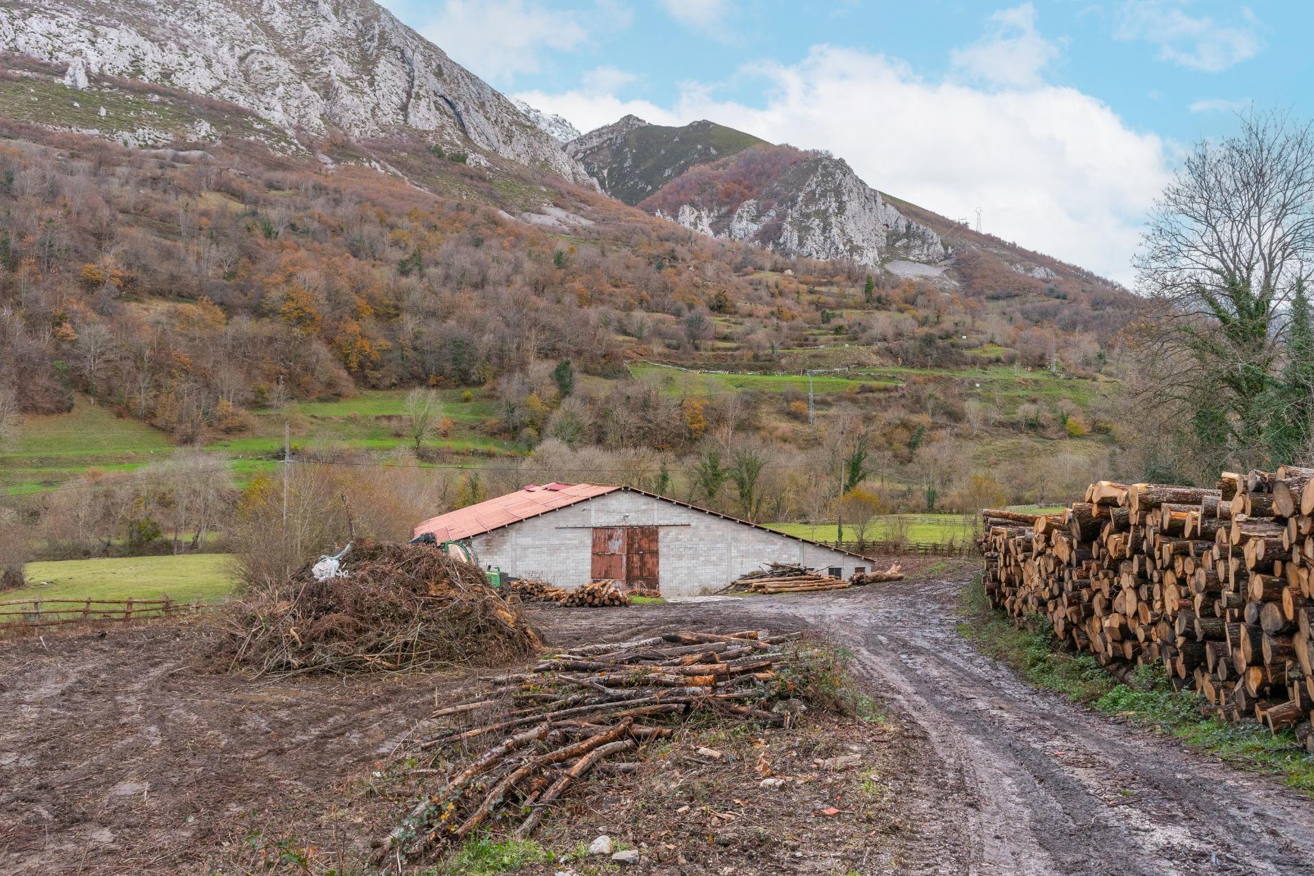 Negocios-Venta-Caso-2009530-Foto-34
