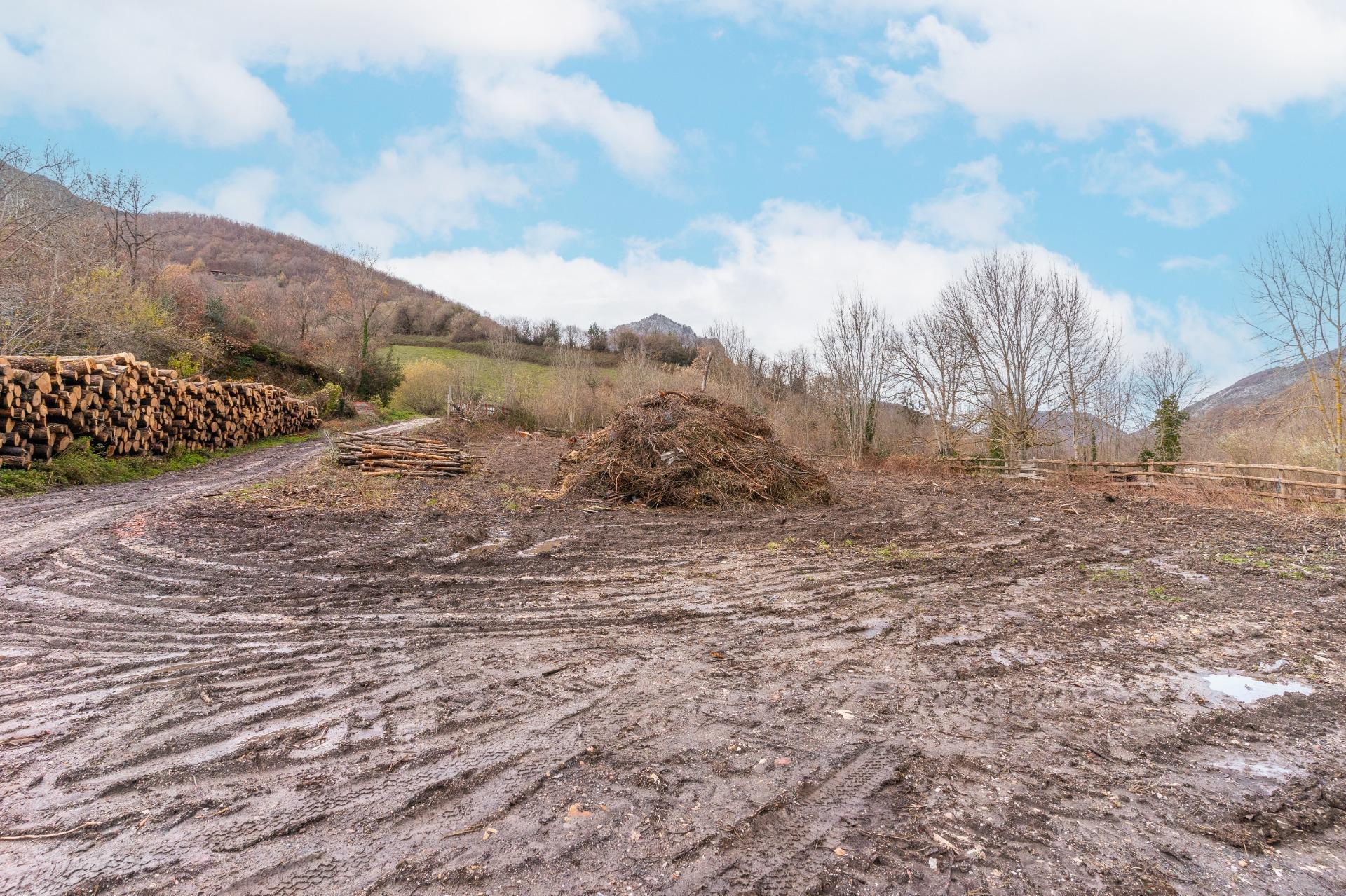 Negocios-Venta-Caso-2009530-Foto-31