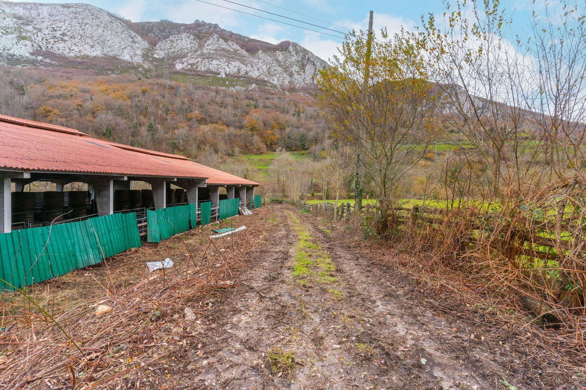 Negocios-Venta-Caso-2009530-Foto-33