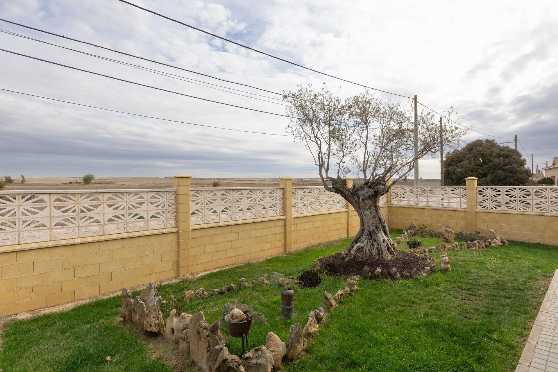 Casas o chalets-Venta-Revellinos-2009568-Foto-6