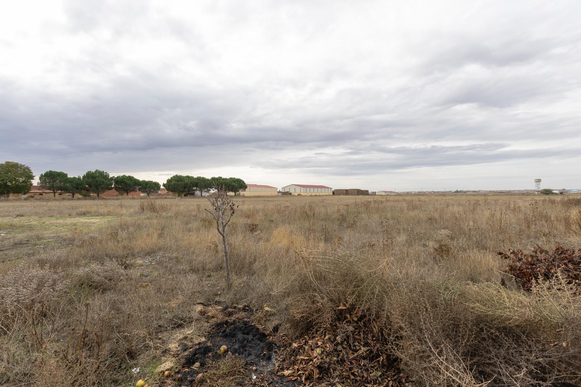 Casas o chalets-Venta-Revellinos-2009568-Foto-15