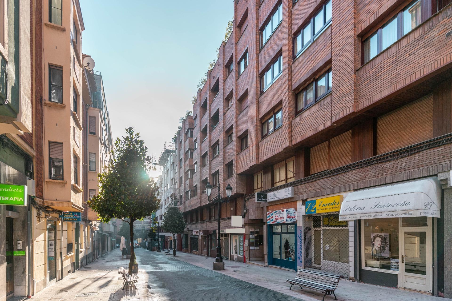 Apartment in Oviedo