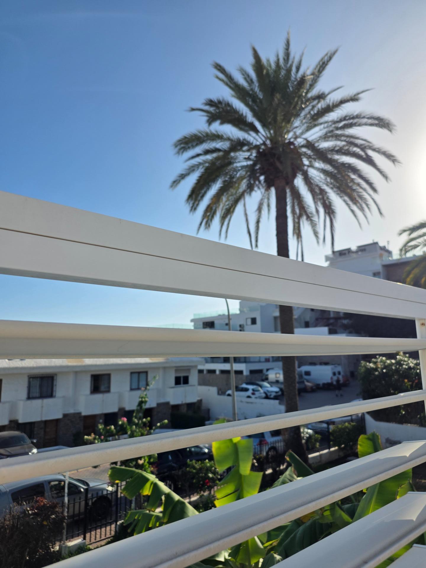 Casas o chalets-Venta-MogÃ¡n-1994555-Foto-13