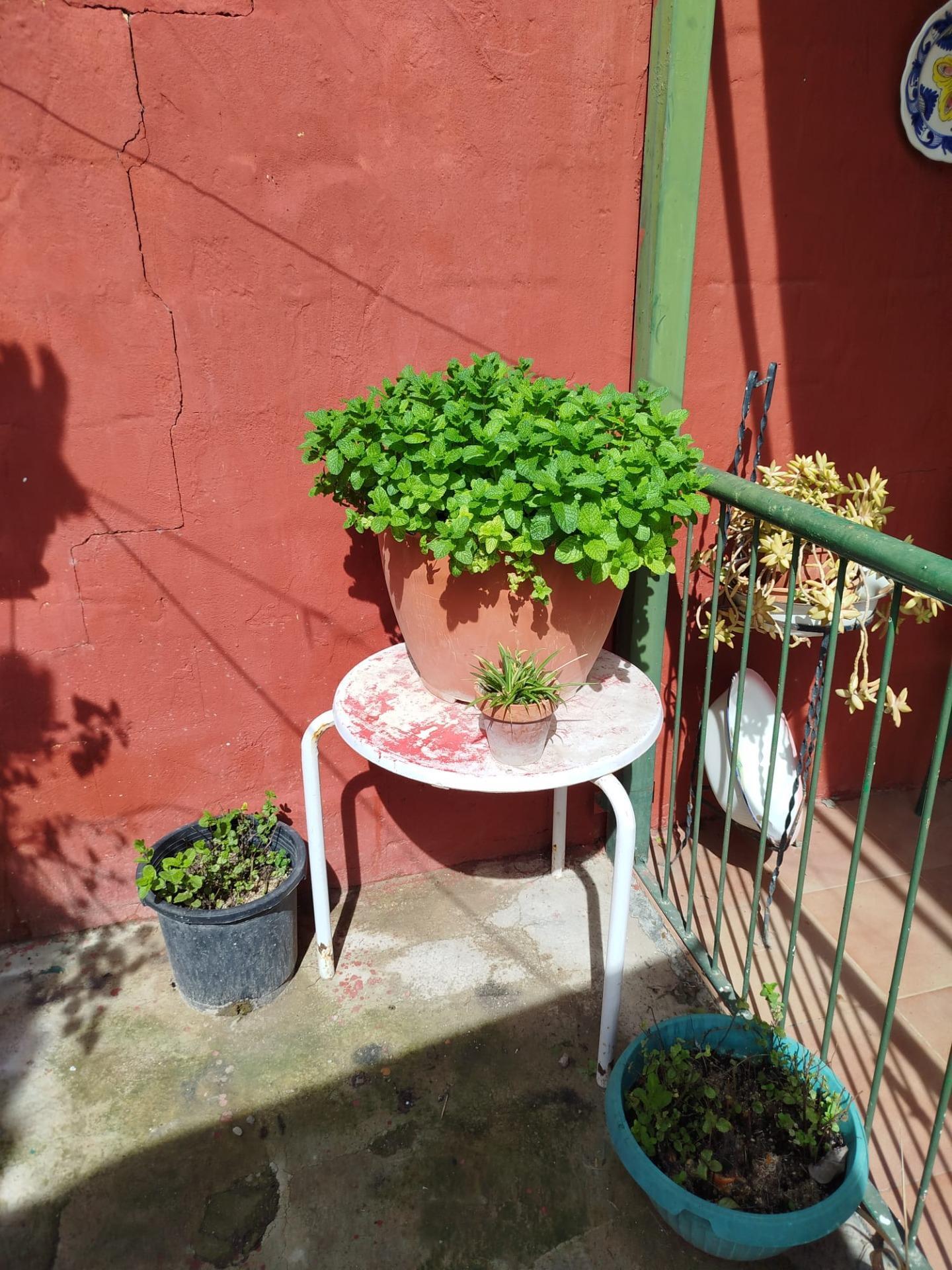 Pisos-Venta-Murcia-1658825-Foto-26