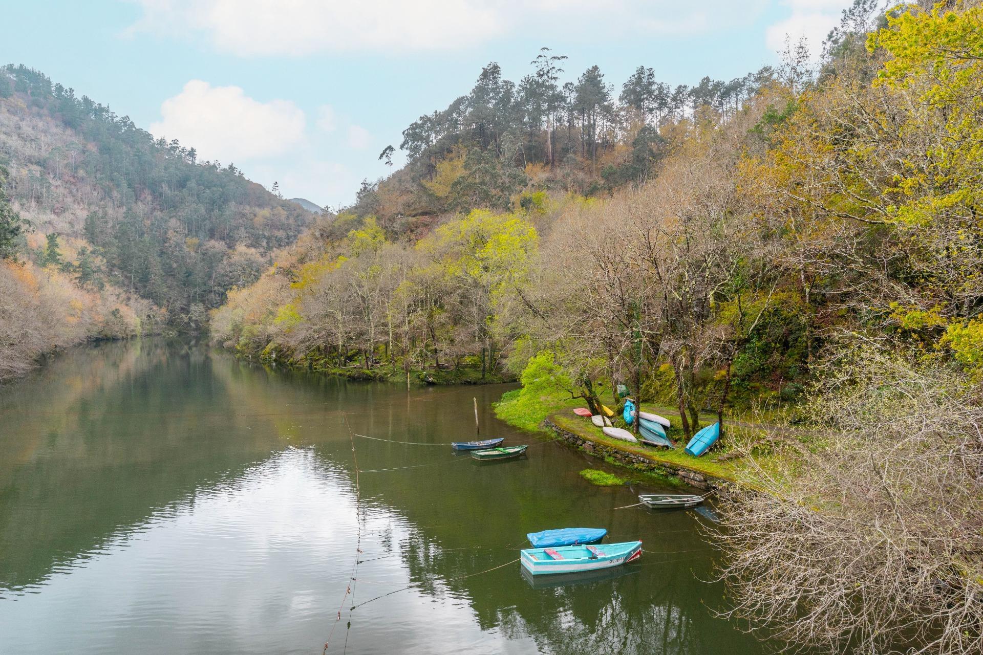 Casas o chalets-Venta-El Boalo-1684762-Foto-52