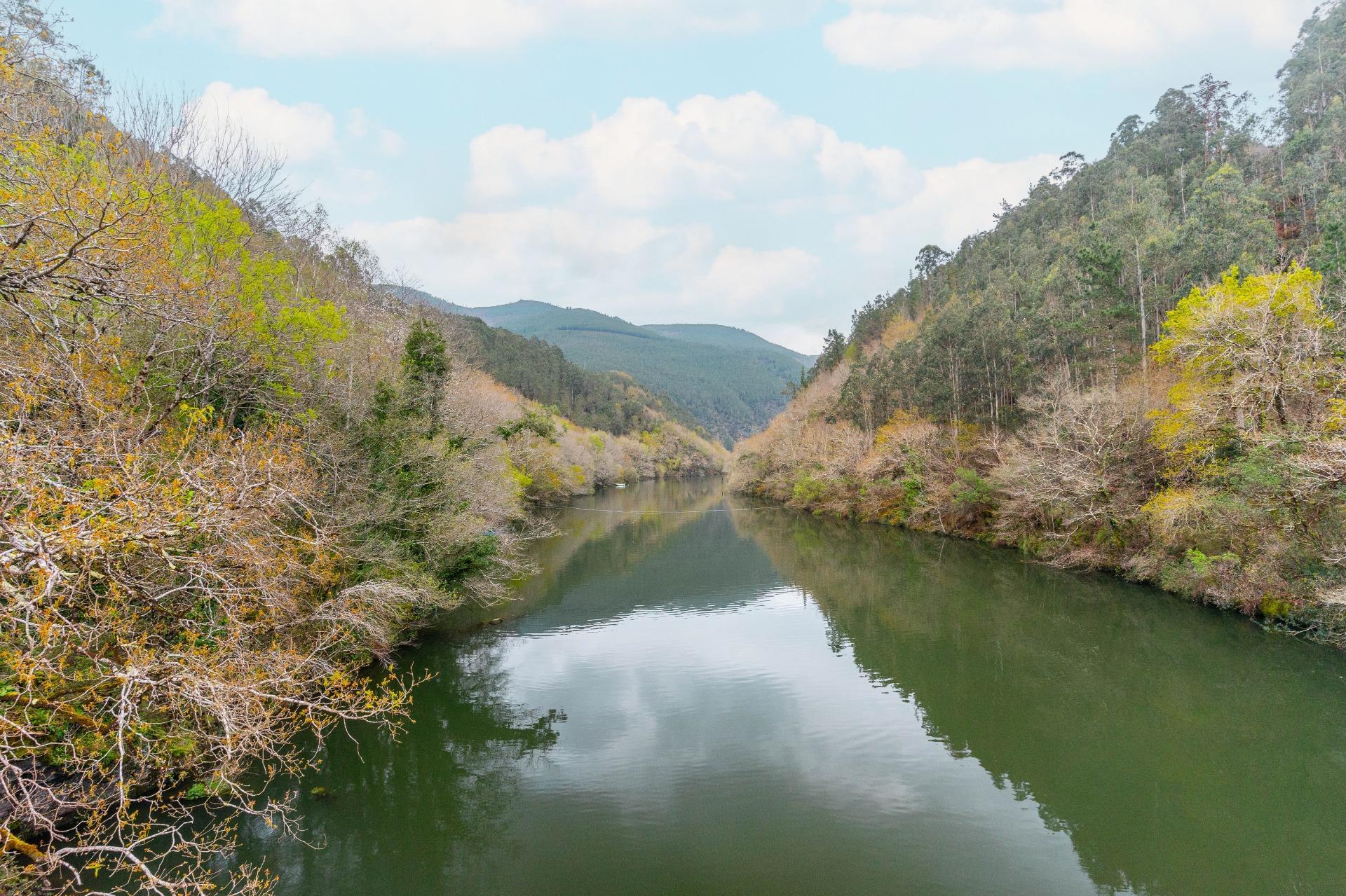 Casas o chalets-Venta-El Boalo-1684762-Foto-53