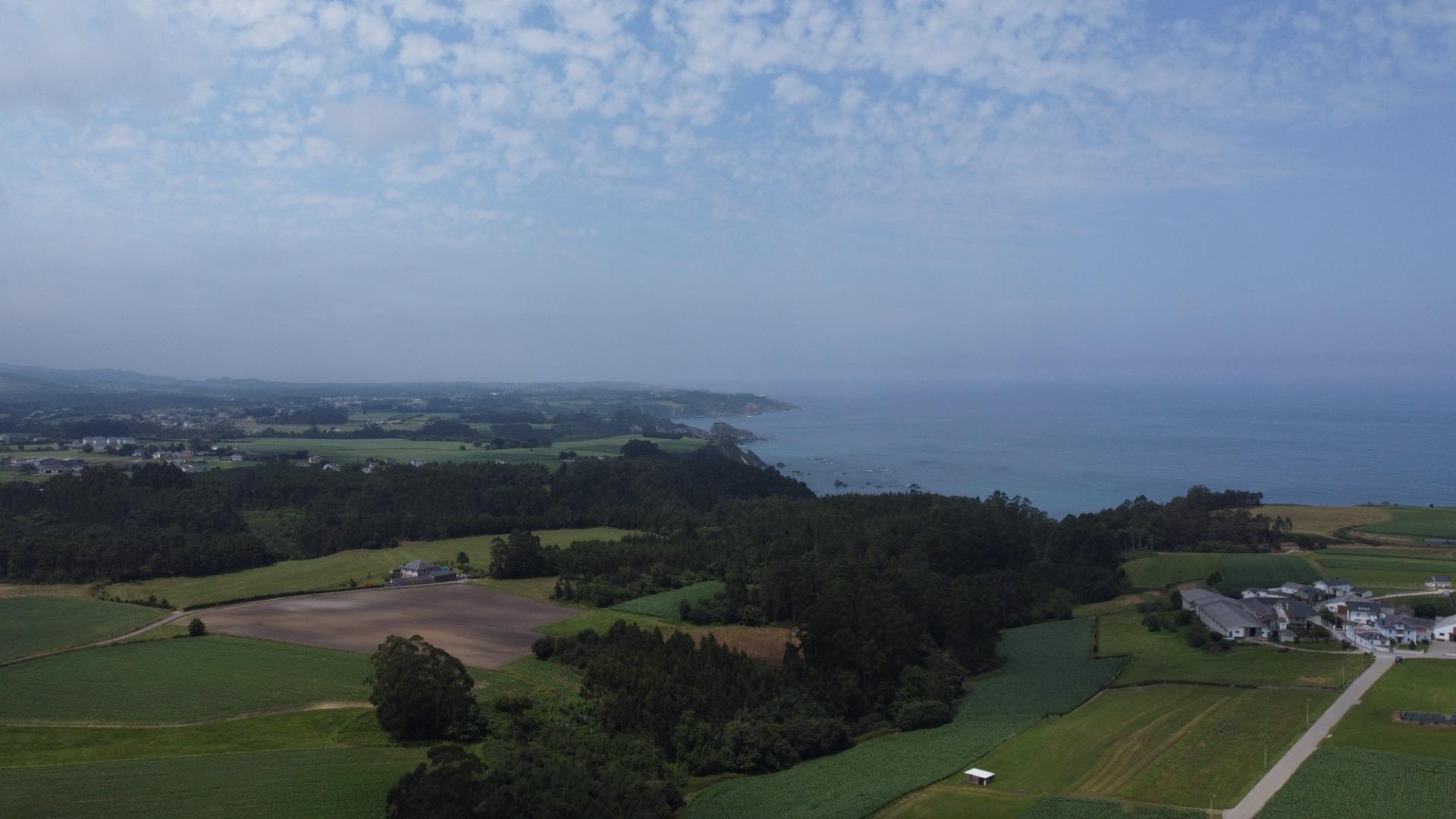 Fincas y solares-Venta-CoaÃ±a-1766687-Foto-4