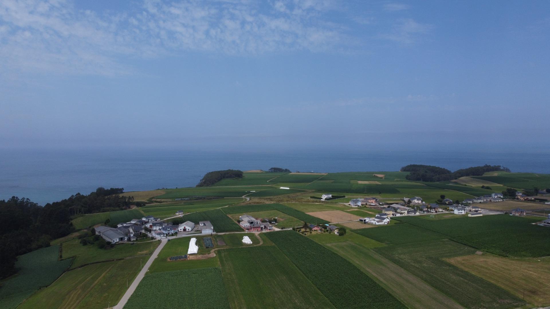 Fincas y solares-Venta-CoaÃ±a-1766687-Foto-3