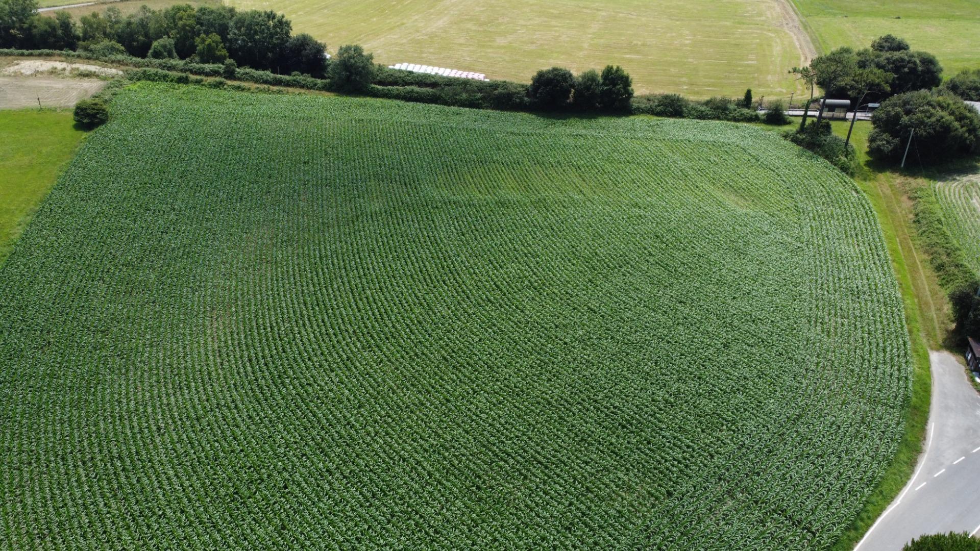 Fincas y solares-Venta-Coaña-1766687