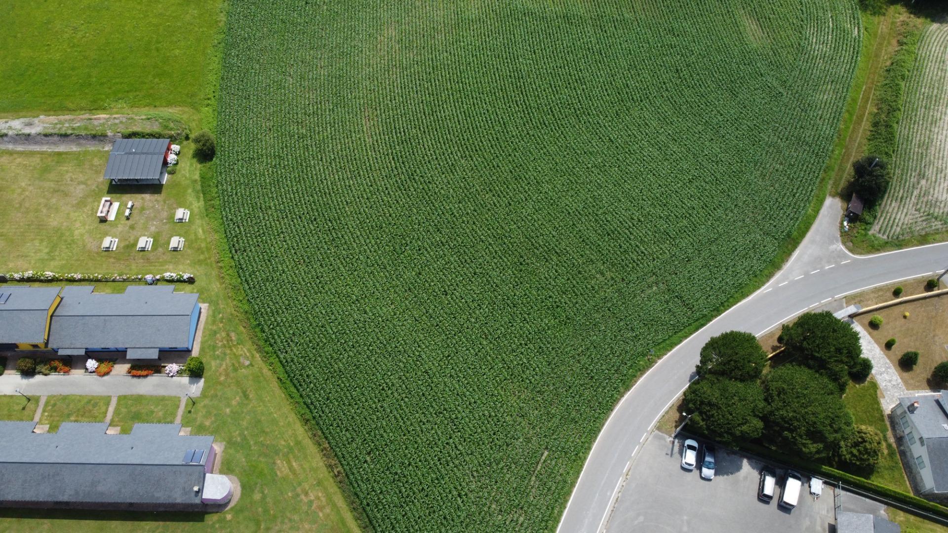 Fincas y solares-Venta-CoaÃ±a-1766687-Foto-6