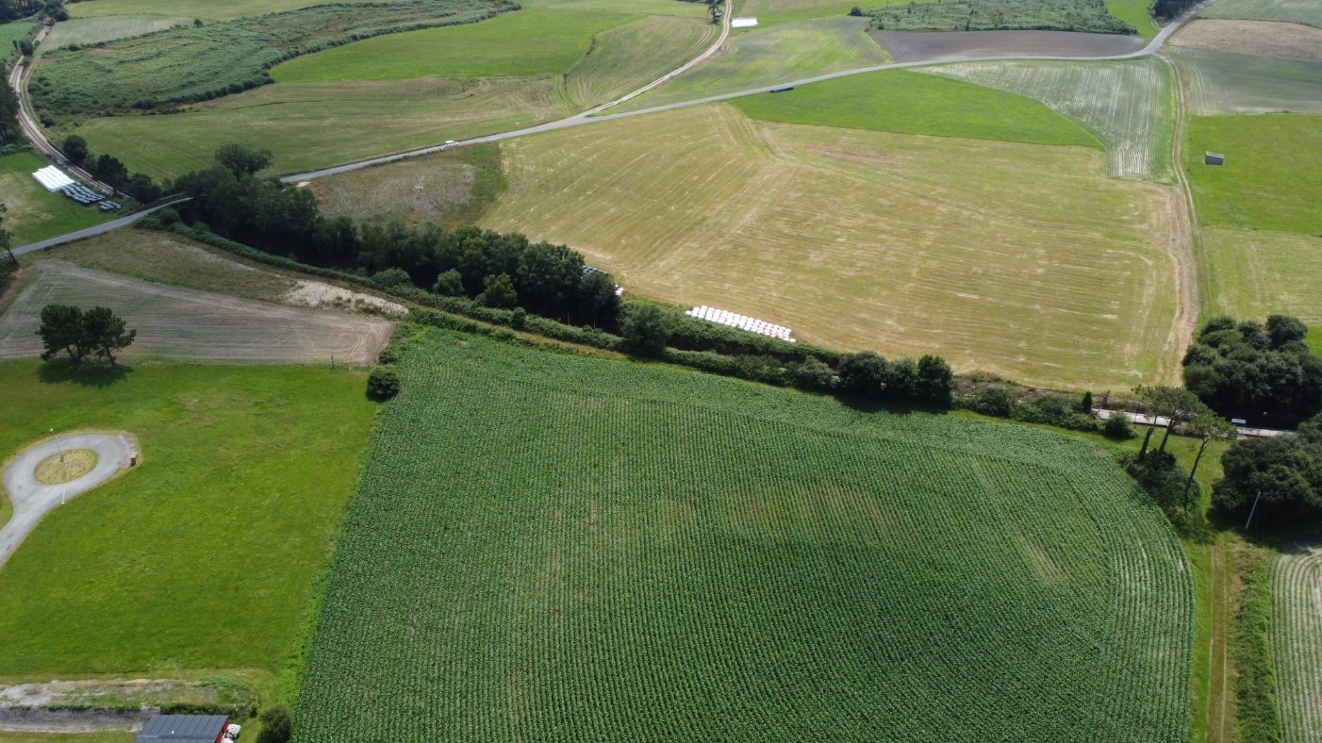 Fincas y solares-Venta-CoaÃ±a-1766687-Foto-8