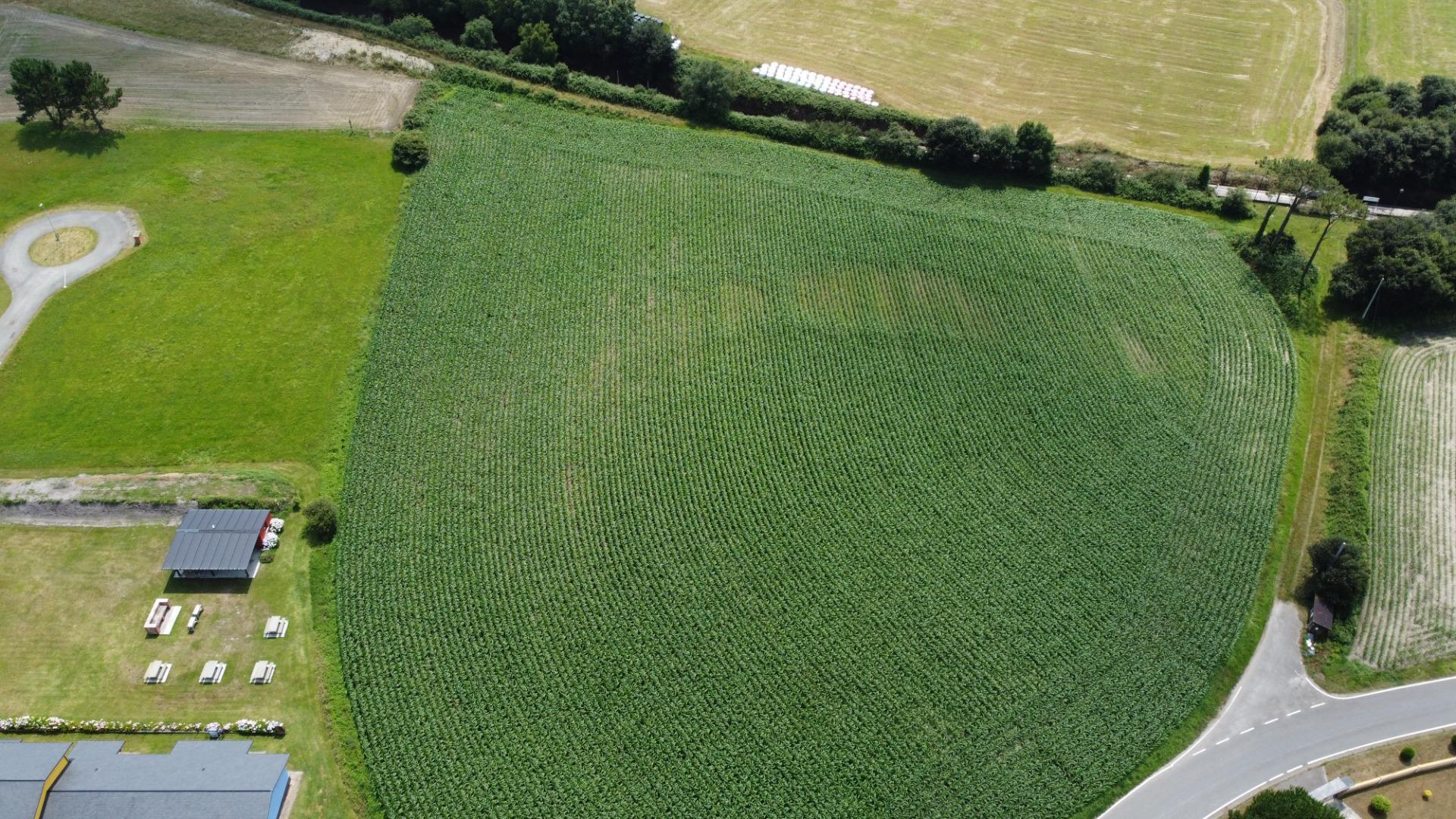 Fincas y solares-Venta-CoaÃ±a-1766687-Foto-7