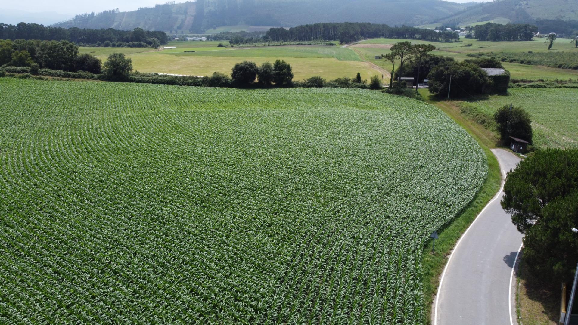 Fincas y solares-Venta-CoaÃ±a-1766687-Foto-9