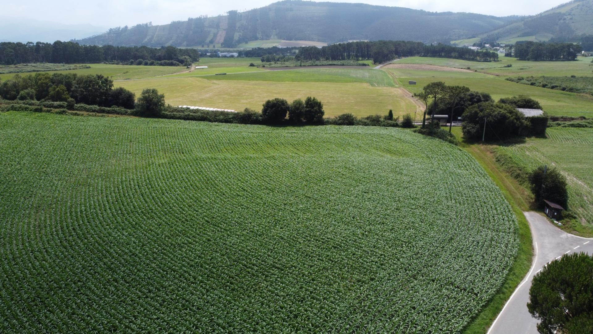 Fincas y solares-Venta-CoaÃ±a-1766687-Foto-15