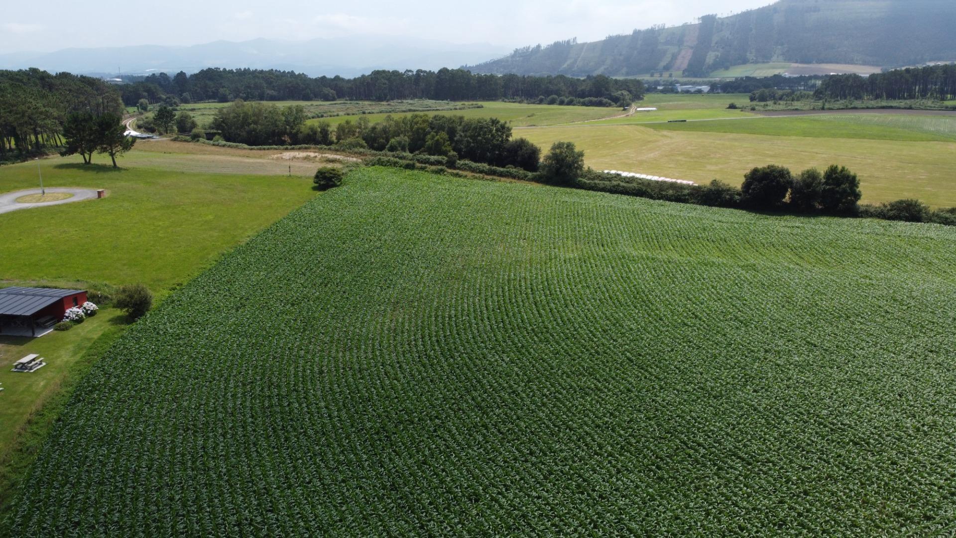 Fincas y solares-Venta-CoaÃ±a-1766687-Foto-14