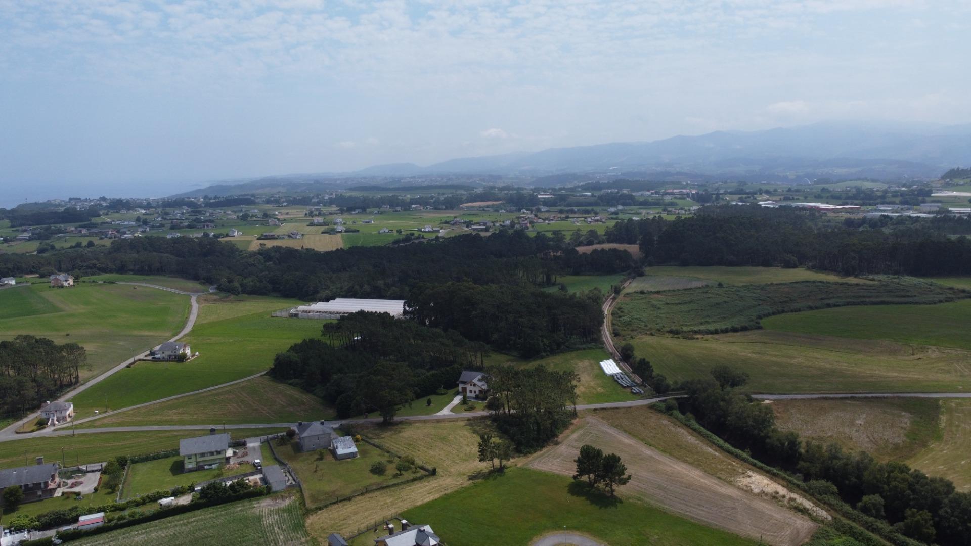 Fincas y solares-Venta-CoaÃ±a-1766687-Foto-24