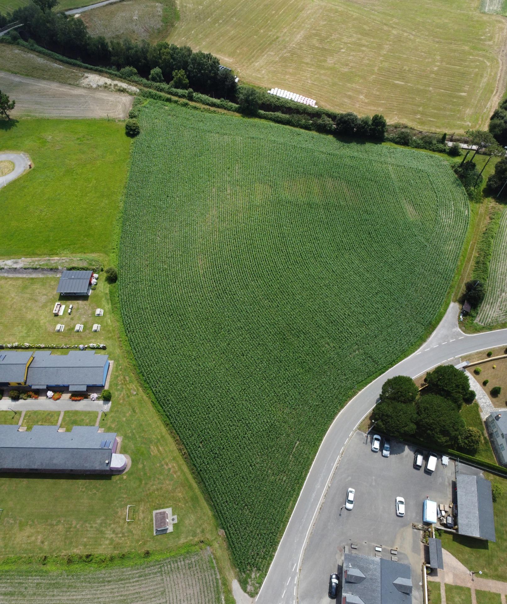 Fincas y solares-Venta-CoaÃ±a-1766687-Foto-21