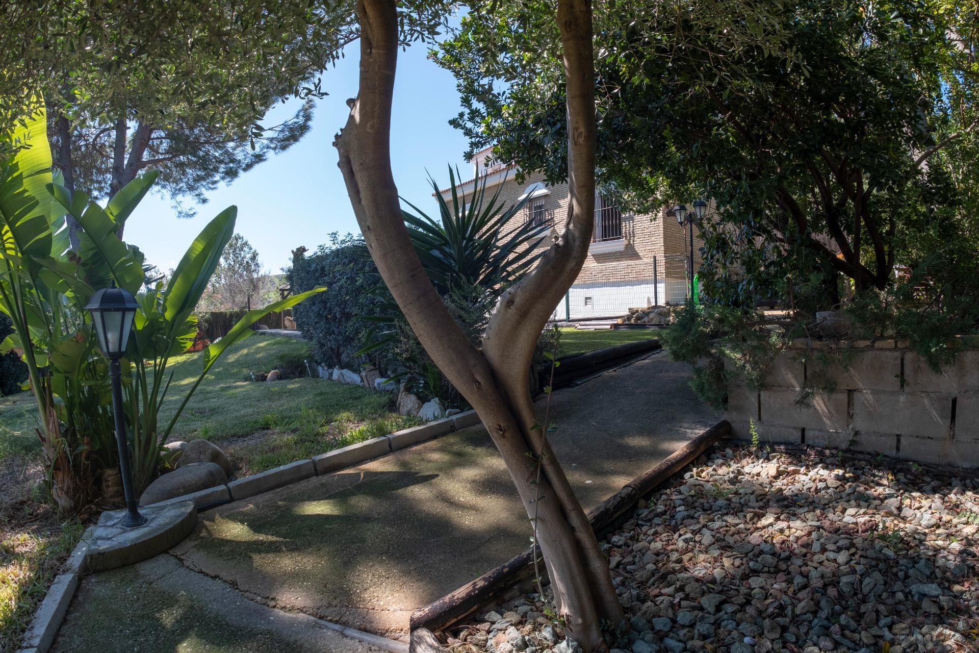 Casas o chalets-Venta-Salteras-1678708-Foto-6