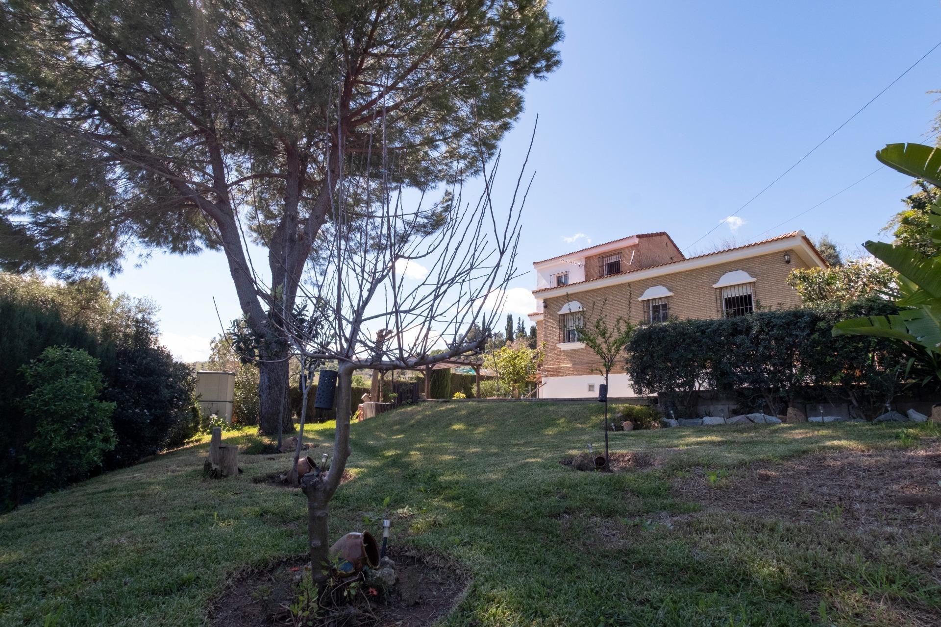 Casas o chalets-Venta-Salteras-1678708-Foto-71