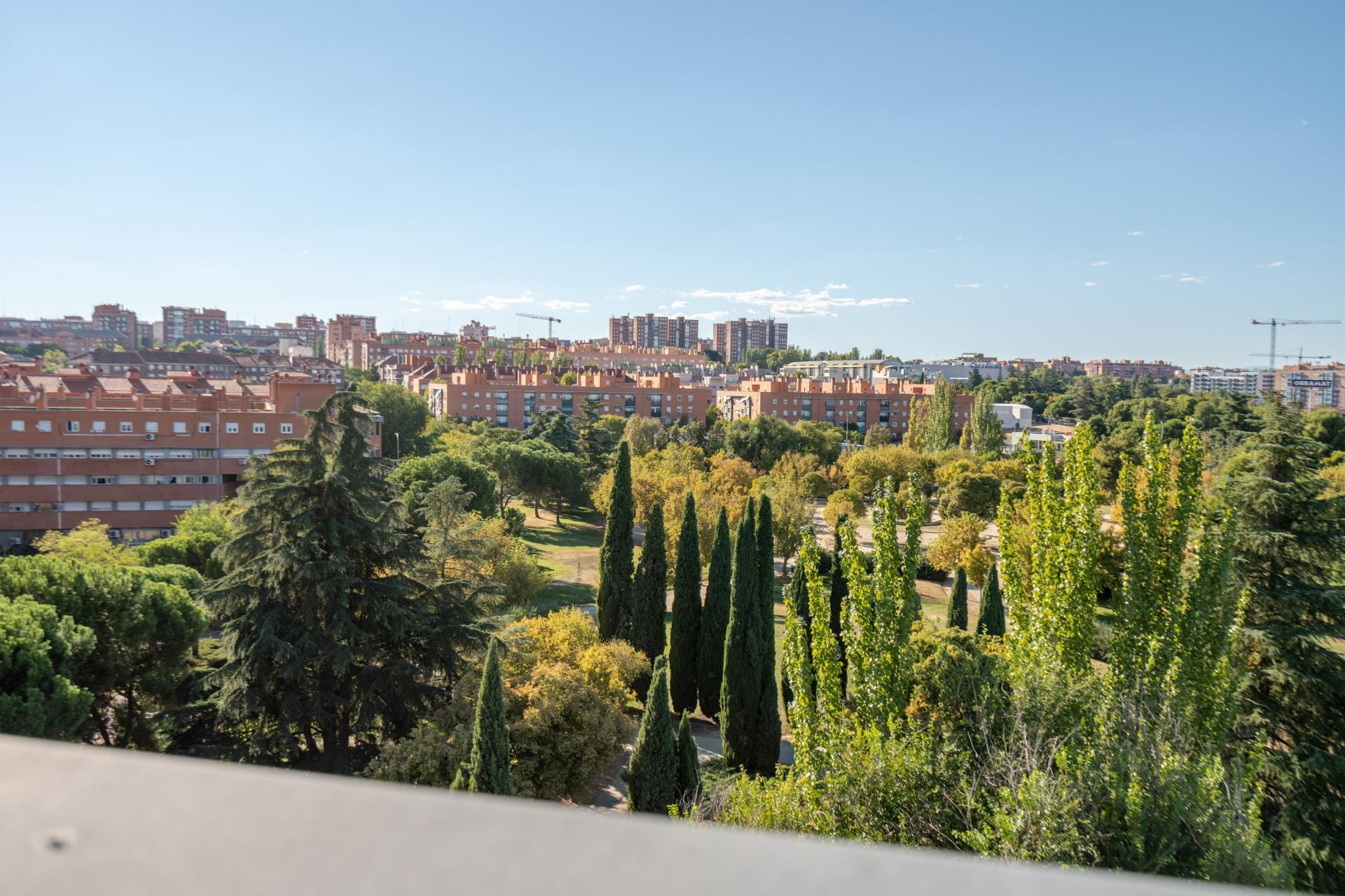 Naves-Venta-Madrid-1875941-Foto-35