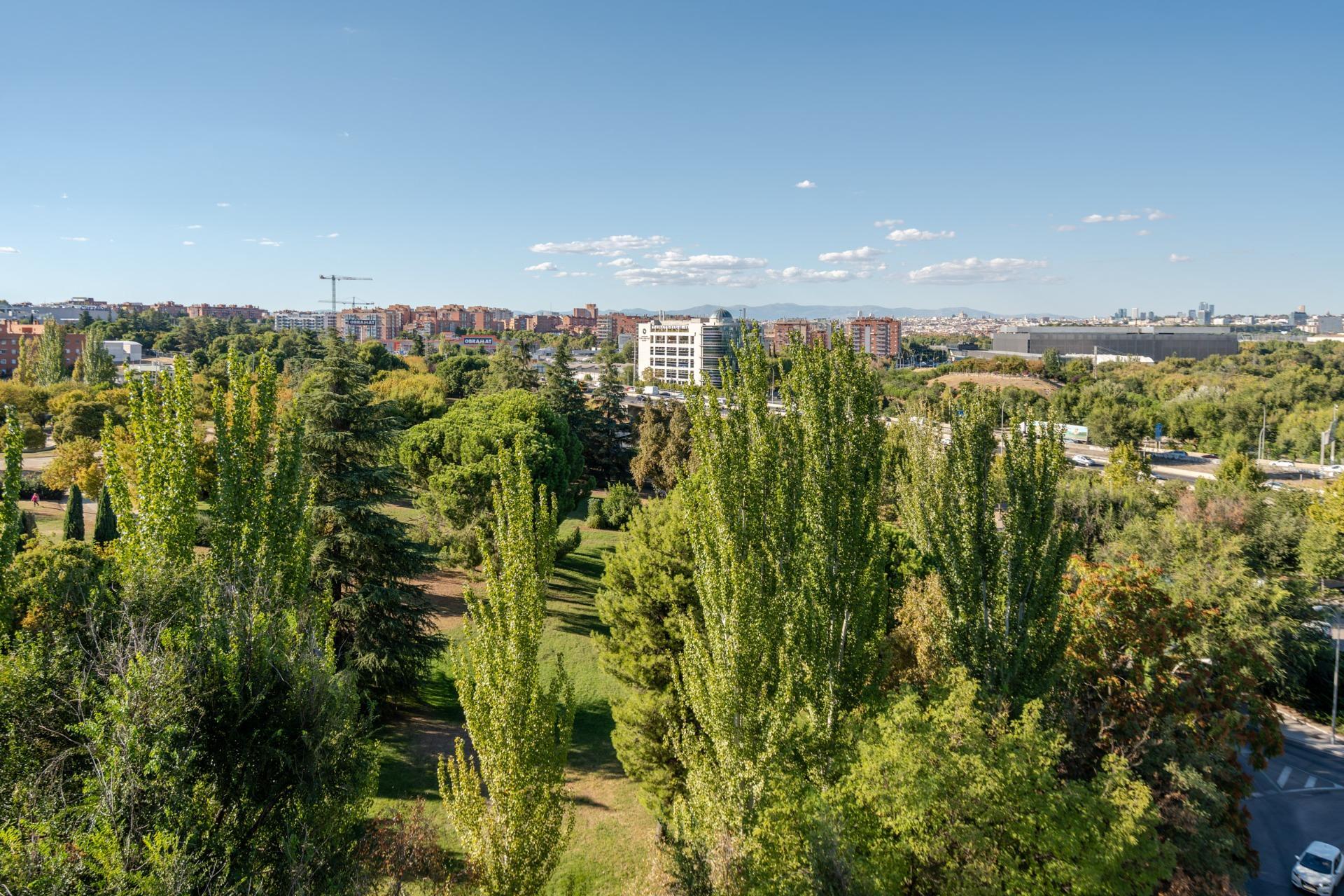 Naves-Venta-Madrid-1875941-Foto-36