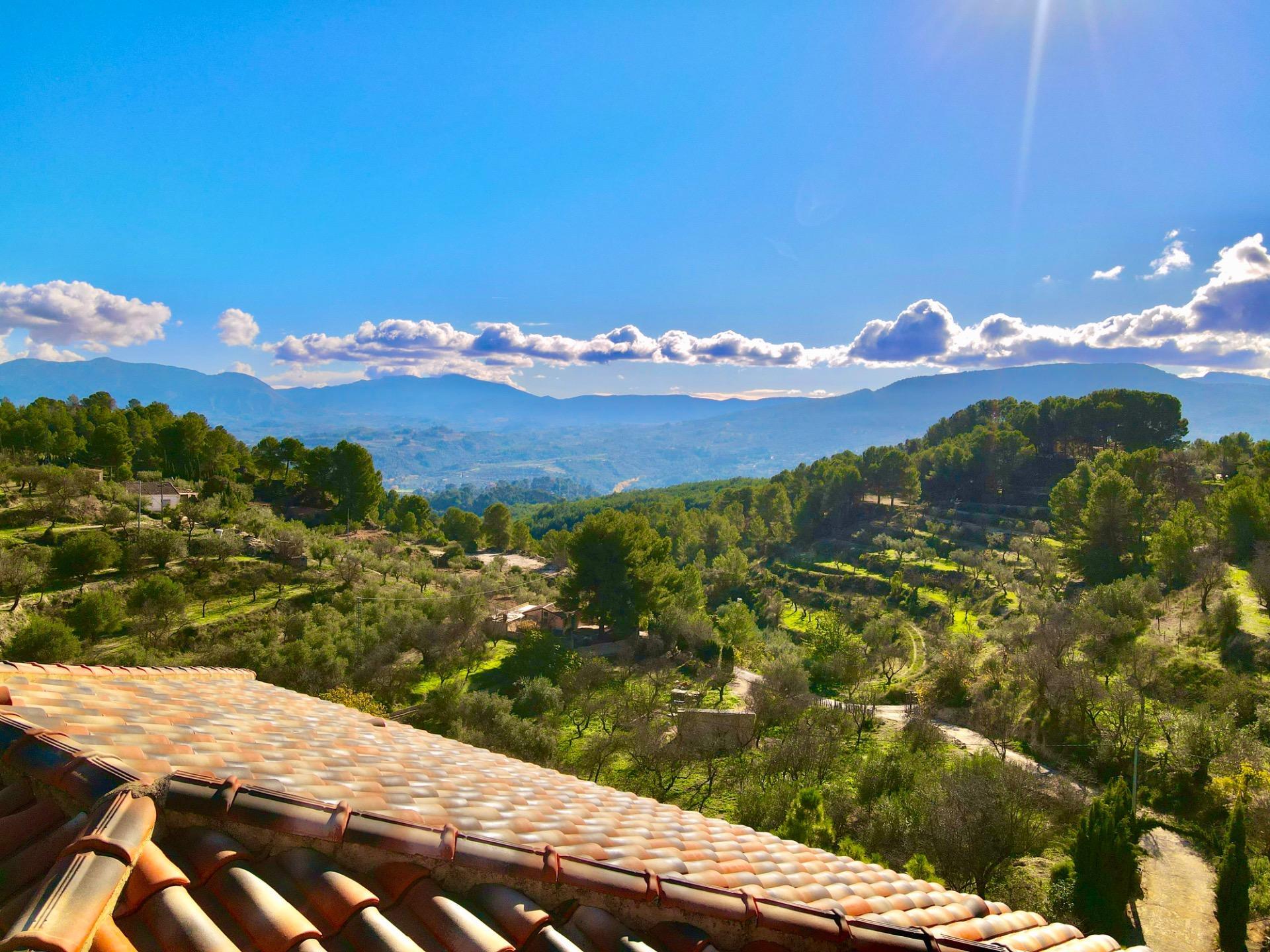 Casas o chalets-Venta-Cocentaina-1975247-Foto-16