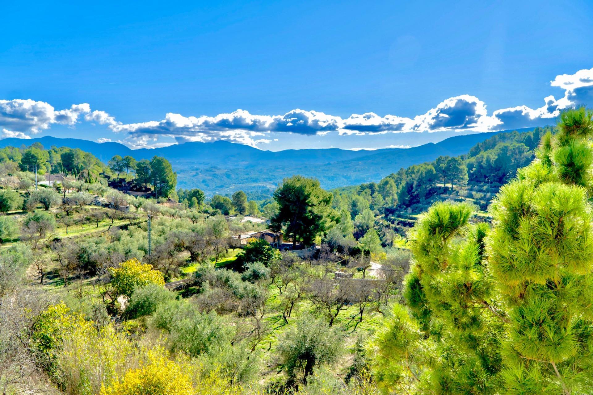 Casas o chalets-Venta-Cocentaina-1975247-Foto-21