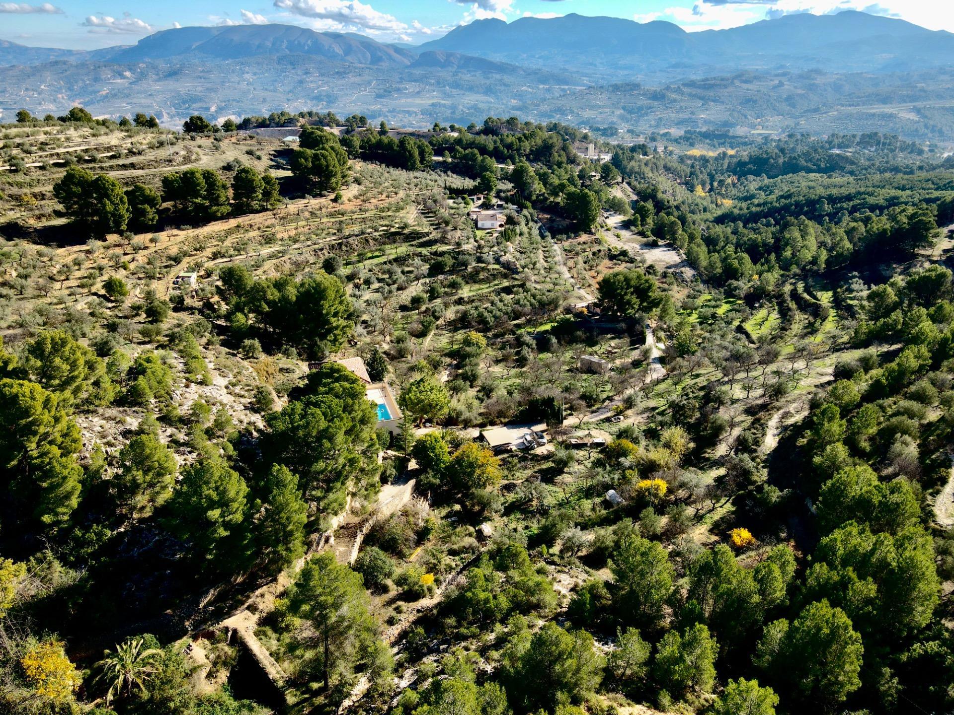 Casas o chalets-Venta-Cocentaina-1975247-Foto-19