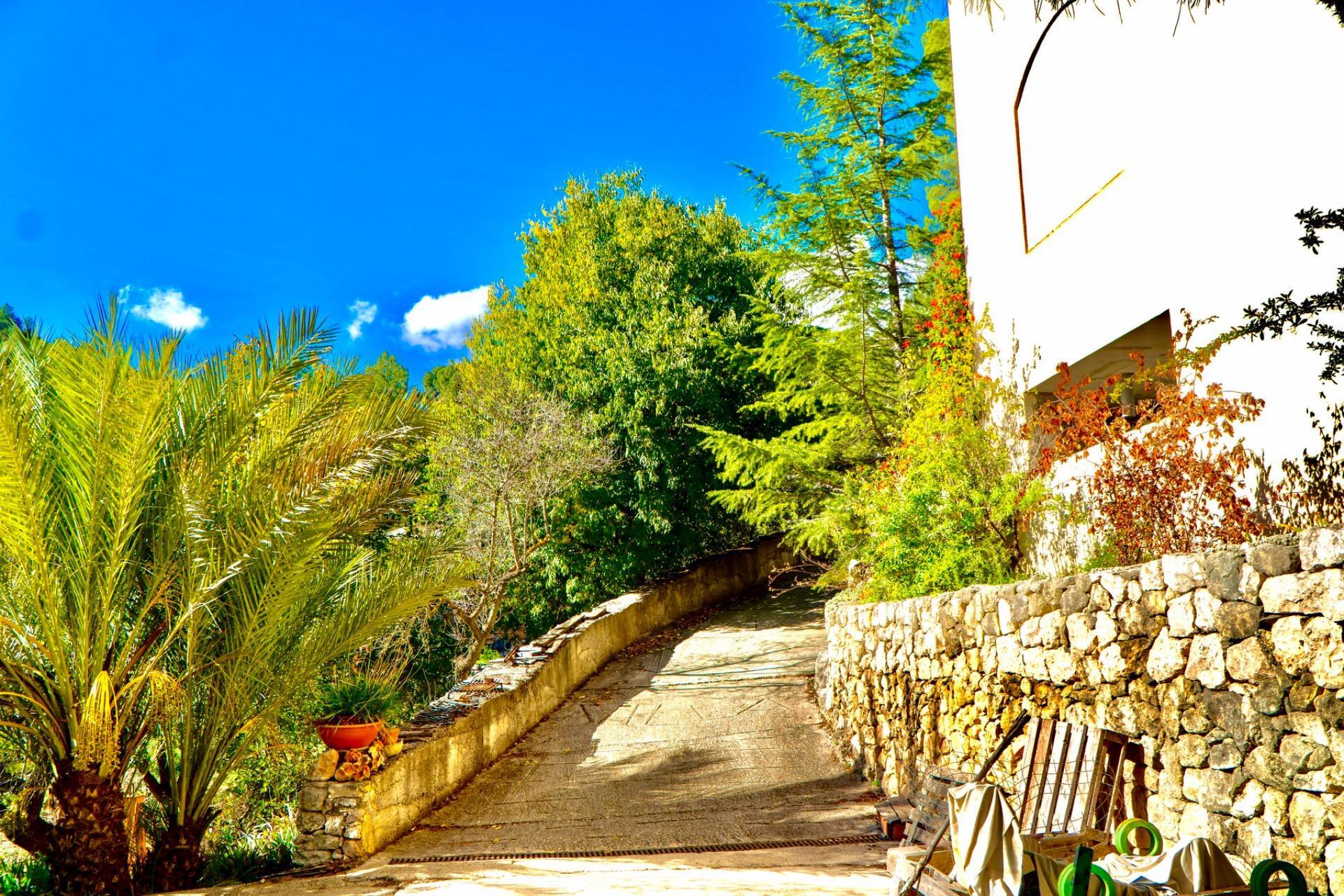 Casas o chalets-Venta-Cocentaina-1975247-Foto-61