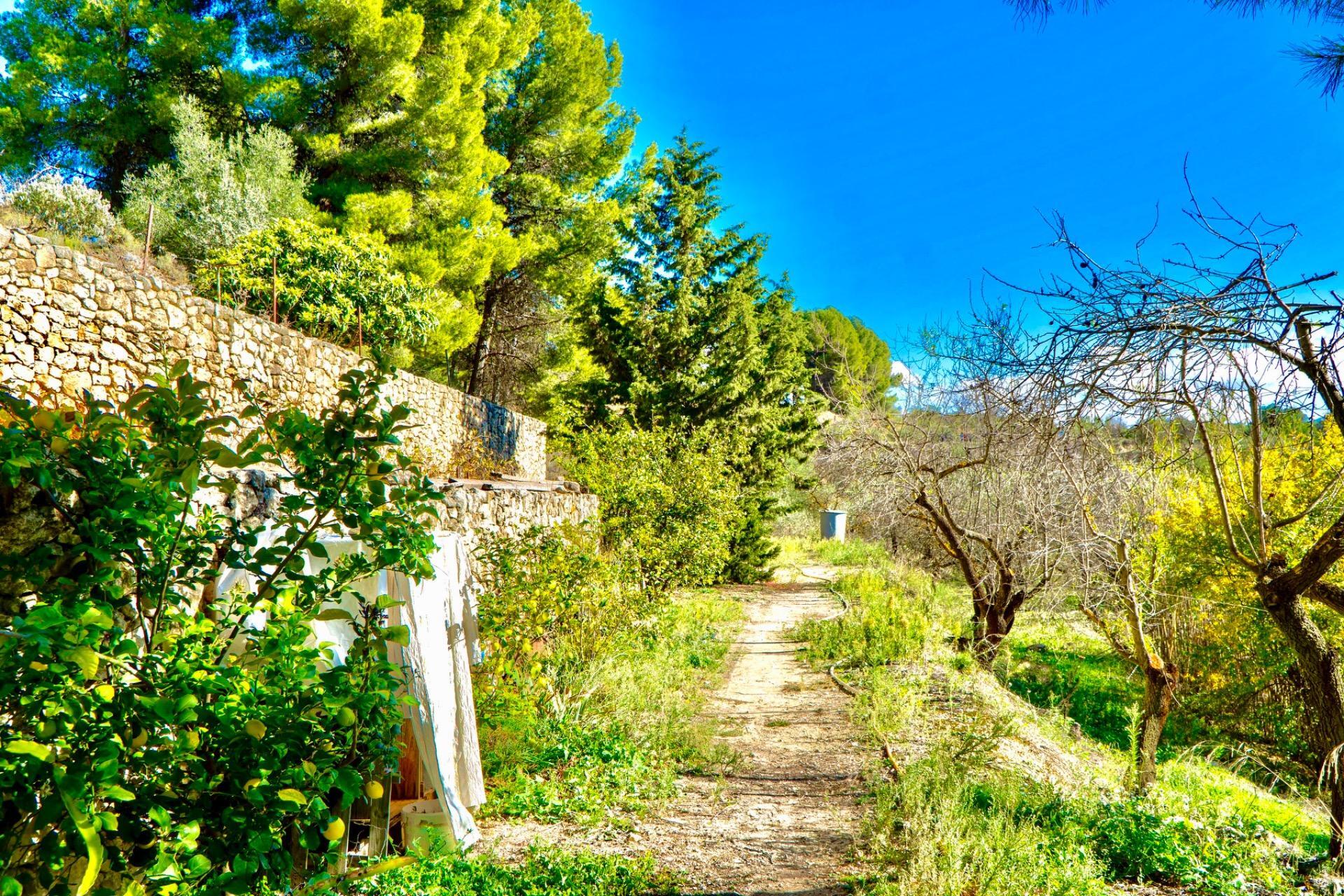 Casas o chalets-Venta-Cocentaina-1975247-Foto-62