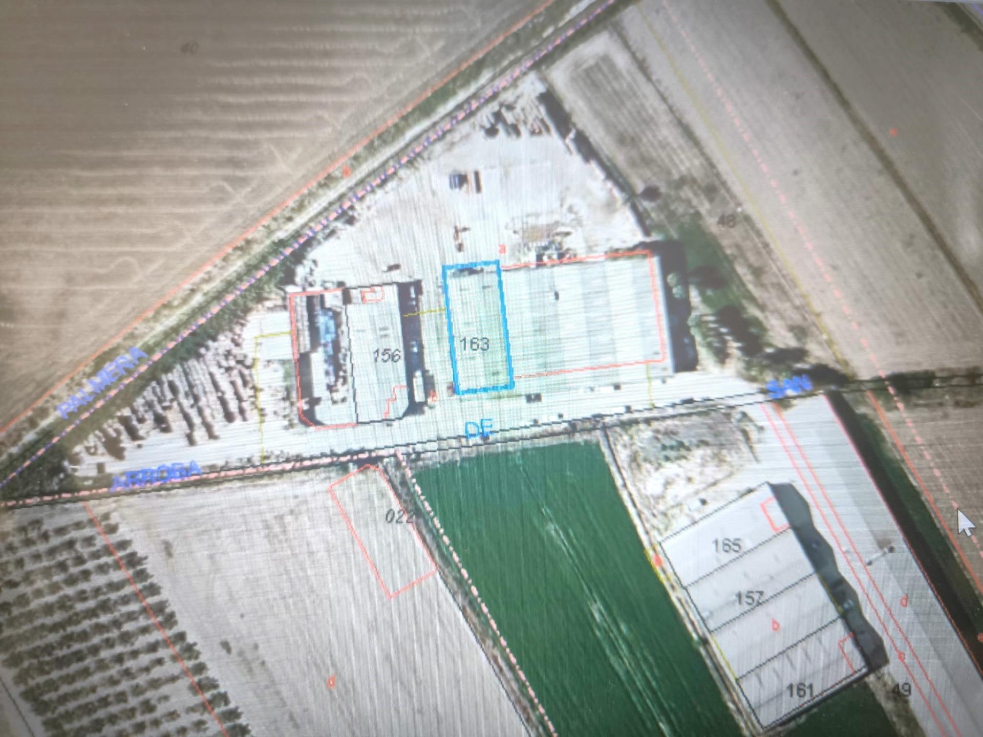 Naves-Venta-Catral-2015713-Foto-5