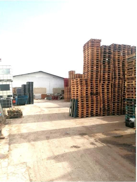 Naves-Venta-Catral-2015713-Foto-10