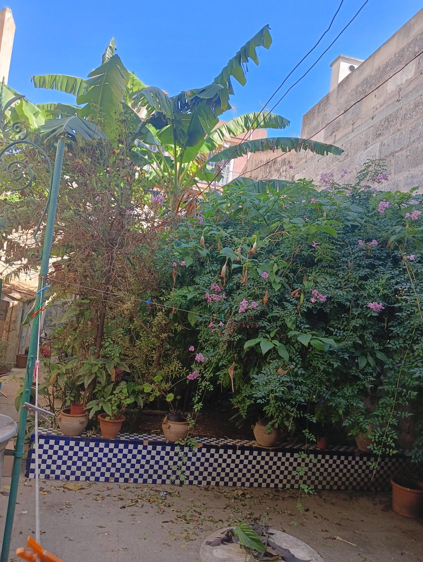 Casas o chalets-Venta-Manacor-2010206-Foto-12