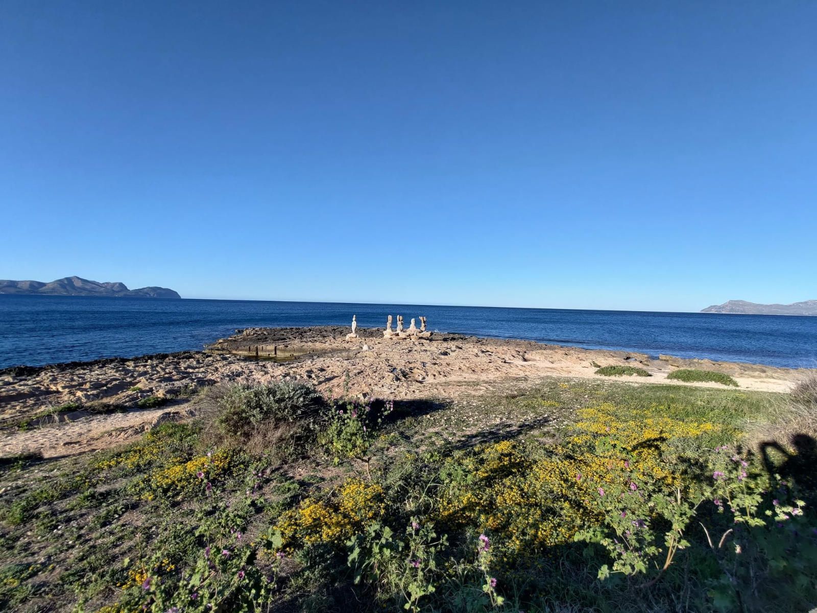 Fincas y solares-Venta-Muro de Alcoy-1423773-Foto-13