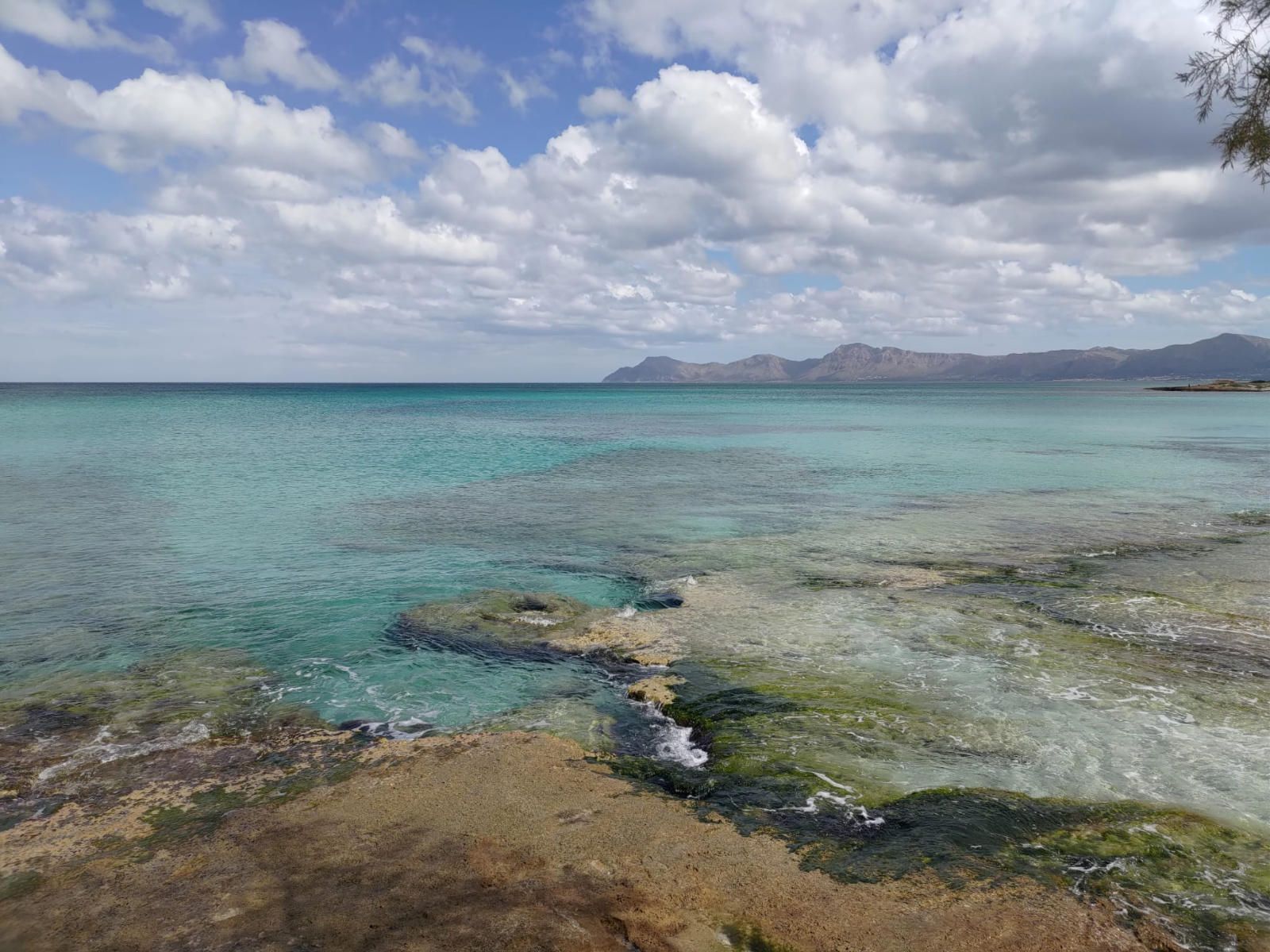 Fincas y solares-Venta-Muro de Alcoy-1423773-Foto-14