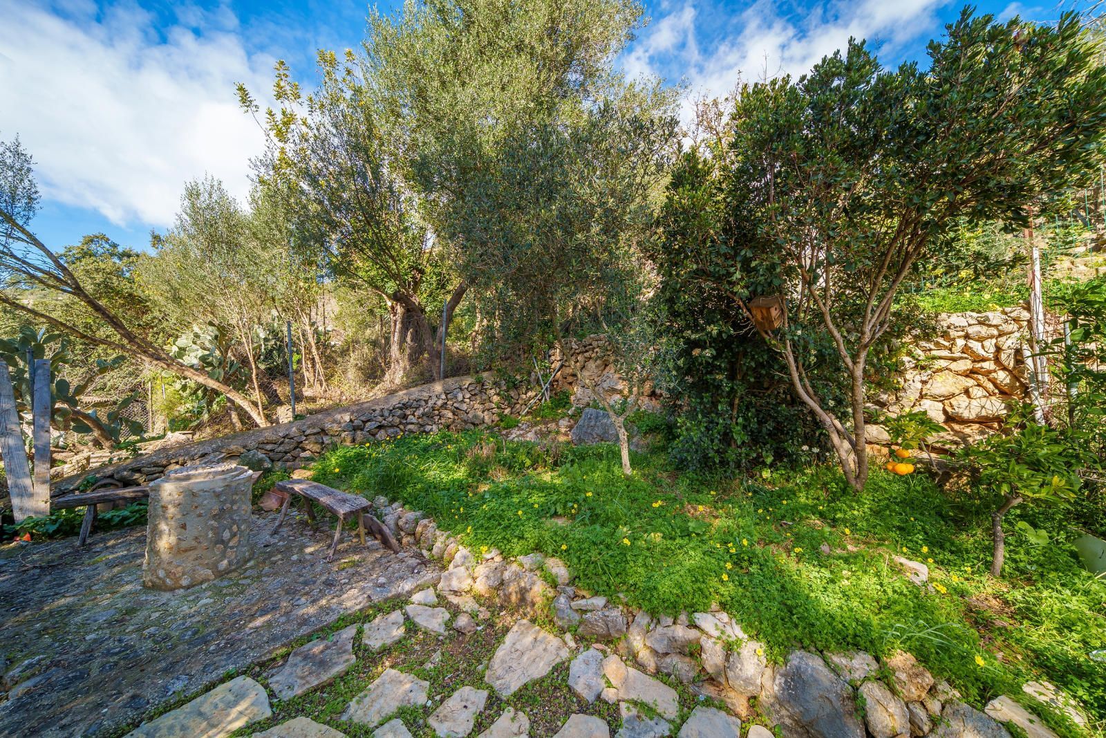 Casas o chalets-Venta-Esporles-1641108-Foto-26