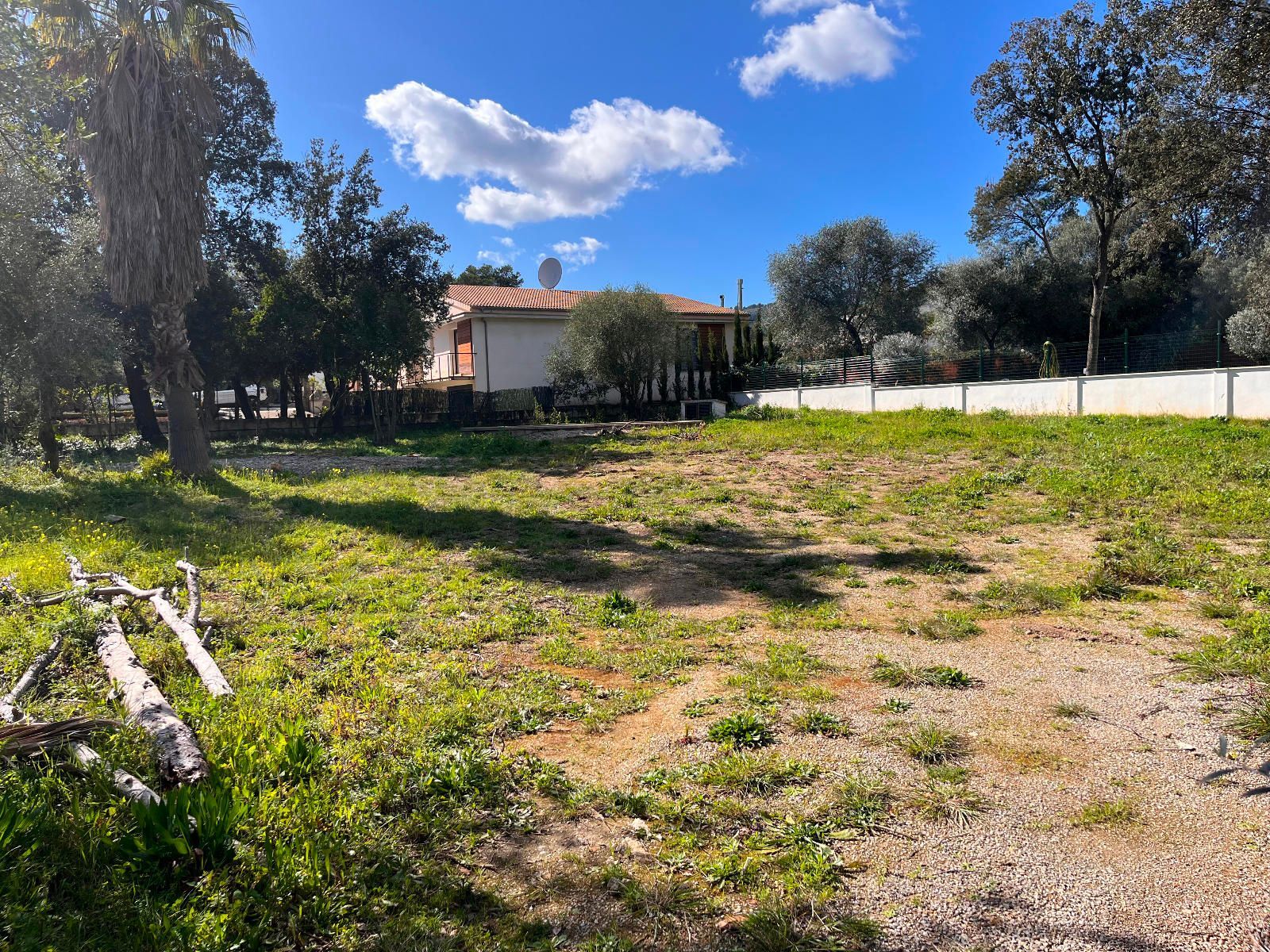 Fincas y solares-Venta-Sa Pobla-1659770-Foto-2